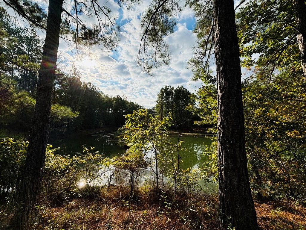 Abbeville, Georgia, 31001, United States, ,Land,For Sale,1975130