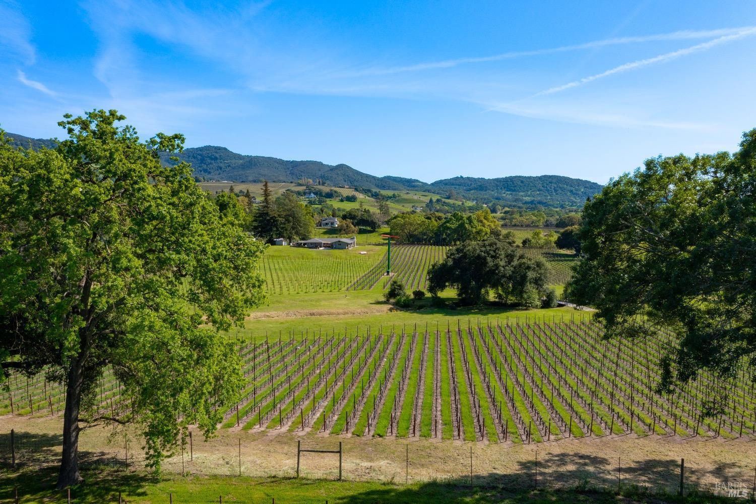 Napa, California, 94558, United States, 4 Bedrooms Bedrooms, ,2 BathroomsBathrooms,Residential,For Sale,1793717