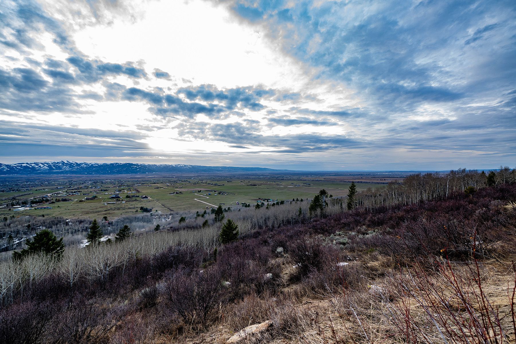 Elevated Lot in Shooting Star Ranch - 物件實景