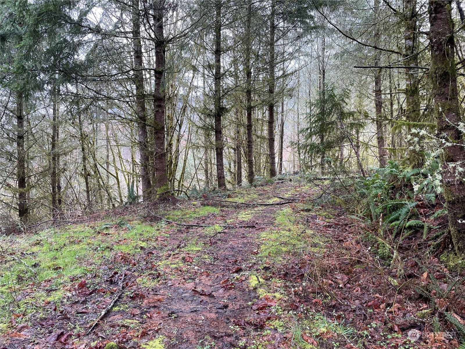 0 Fallert Road, Kalama, Washington, 98625, United States, ,Land,For Sale,0 Fallert Road,1273199