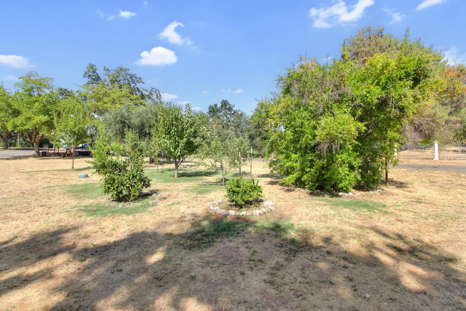 Wilton, California, 95693, United States, 3 Bedrooms Bedrooms, ,2 BathroomsBathrooms,Residential,For Sale,1901221