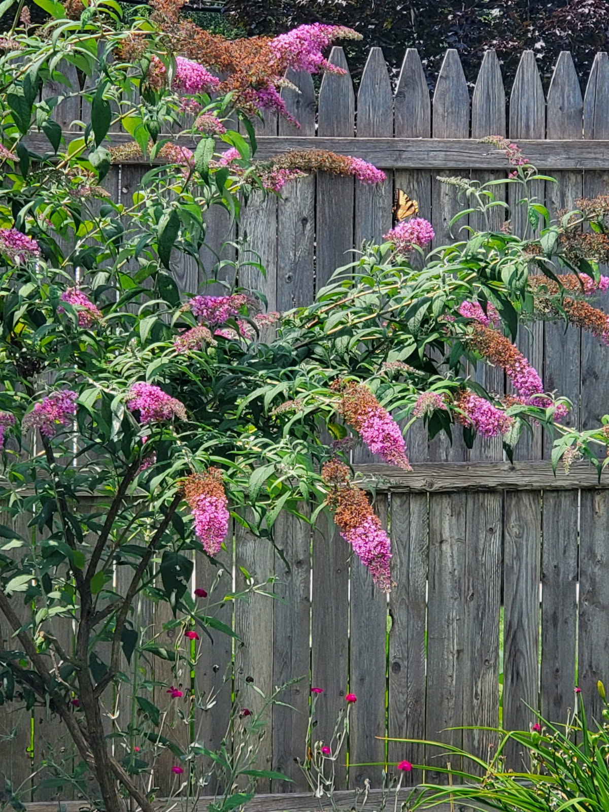 Pompton Plains, New Jersey, 07444, United States, 4 Bedrooms Bedrooms, ,3 BathroomsBathrooms,Residential,For Sale,2007489