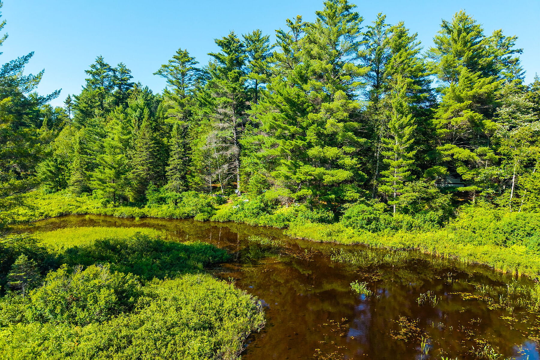  Buck River Huntsville - 物件實景