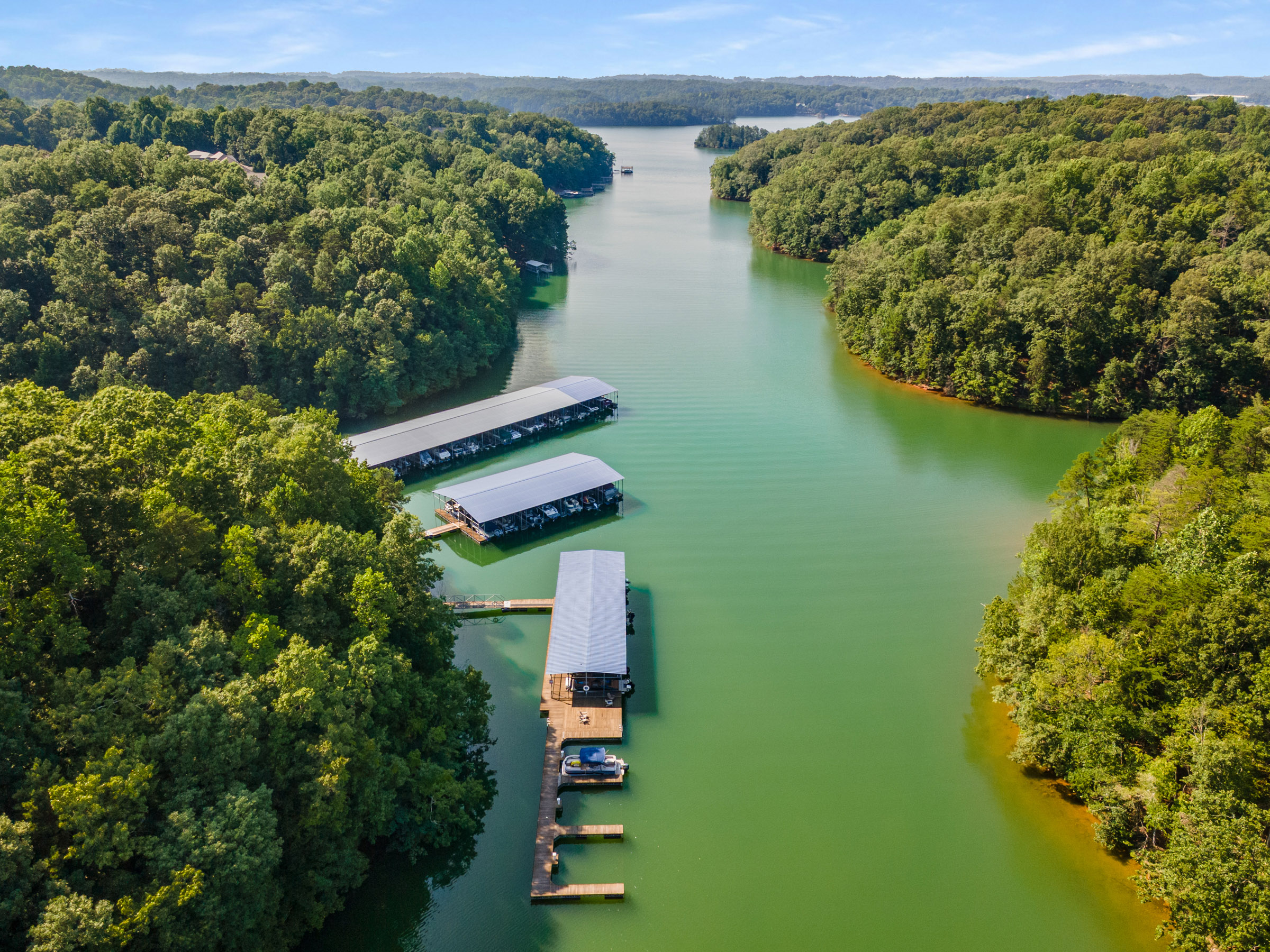  Unrivaled Curated Luxury at Cresswind at Lake Lanier - 物件實景