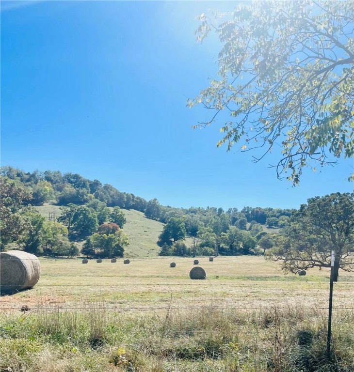 Berryville, Arkansas, 72616, United States, 6 Bedrooms Bedrooms, ,4 BathroomsBathrooms,Residential,For Sale,1988341