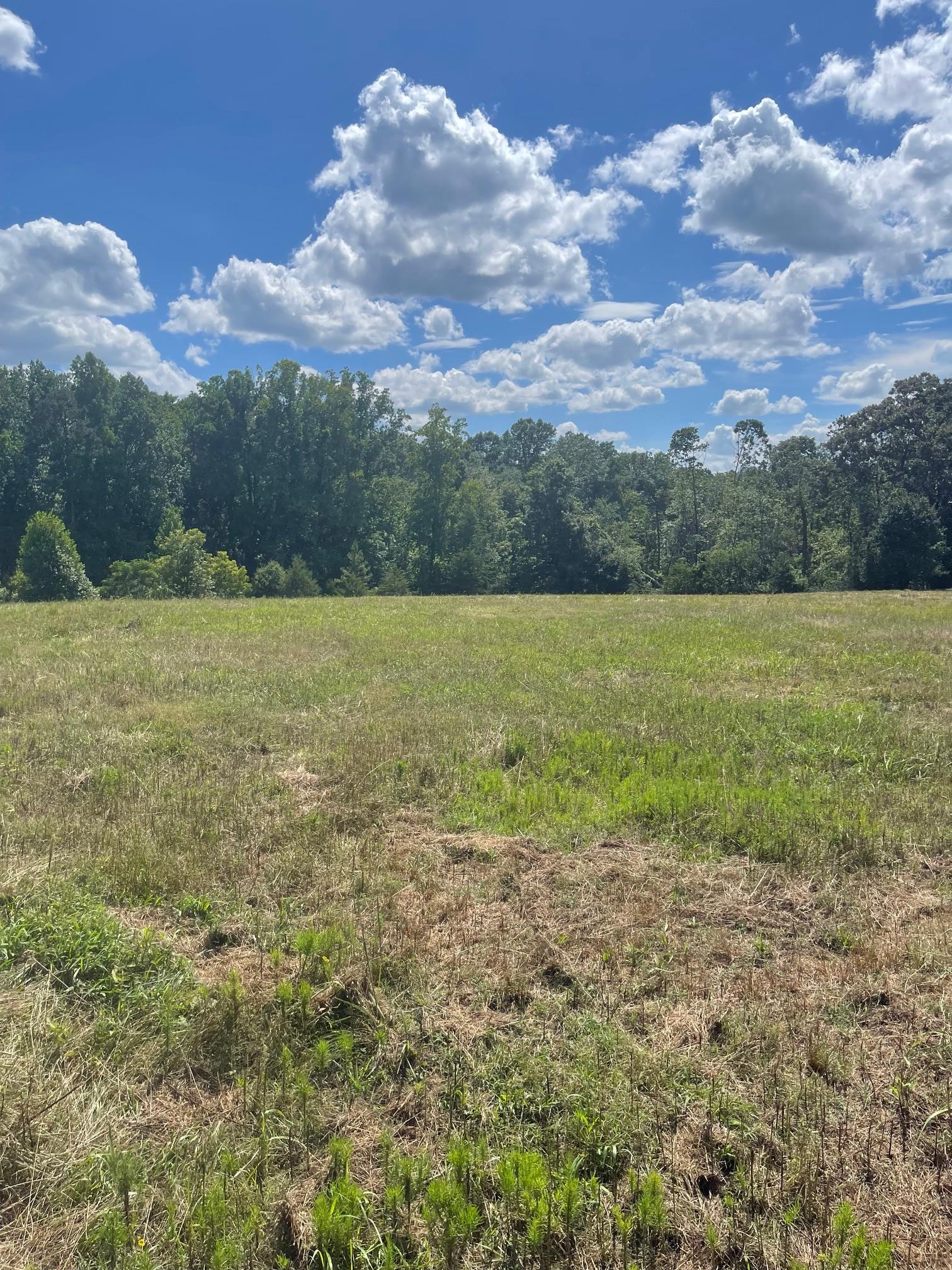 Cowpens, South Carolina, 29330, United States, ,Residential,For Sale,1935629