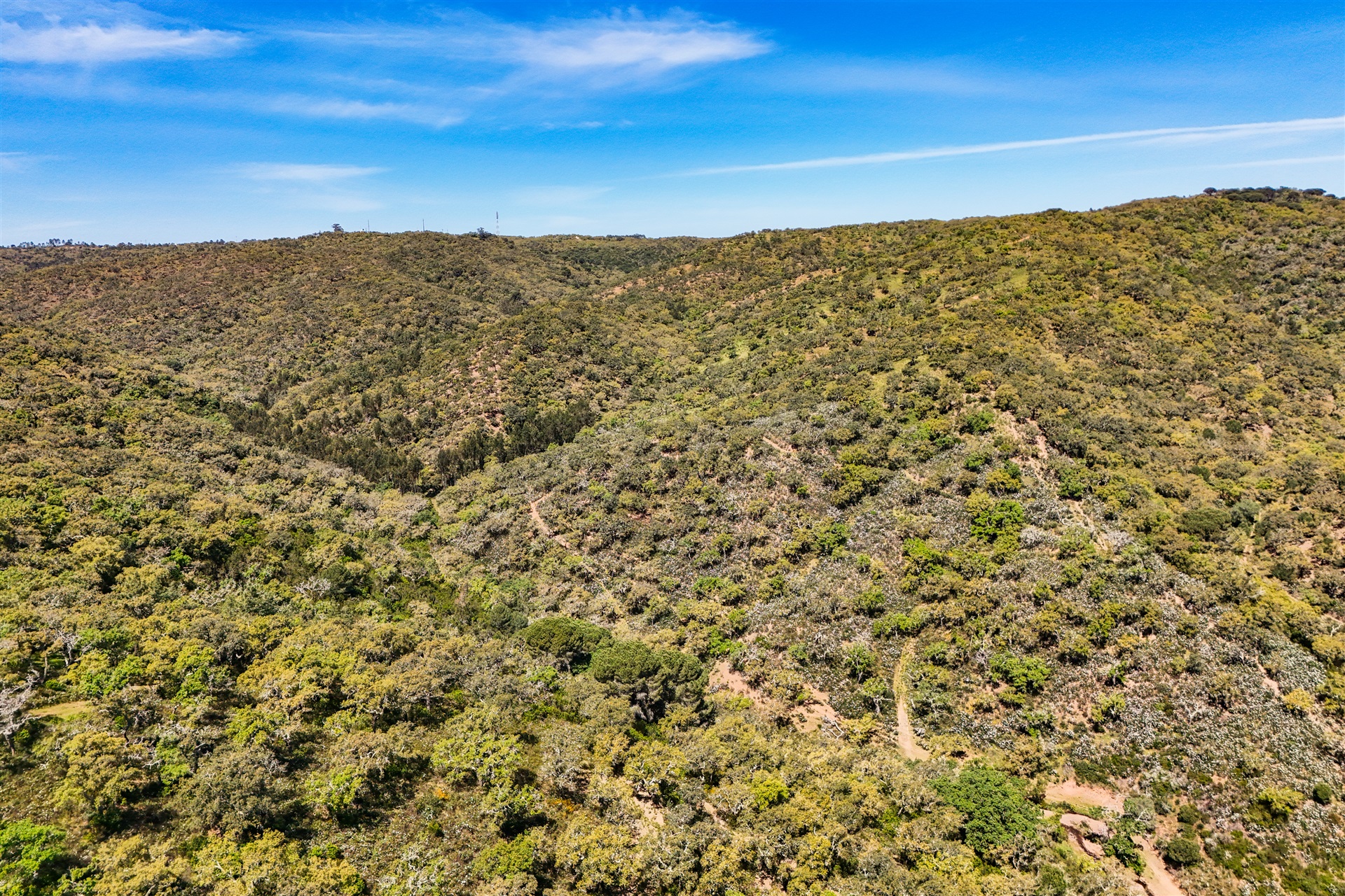 Real estate land for Sale - 物件實景