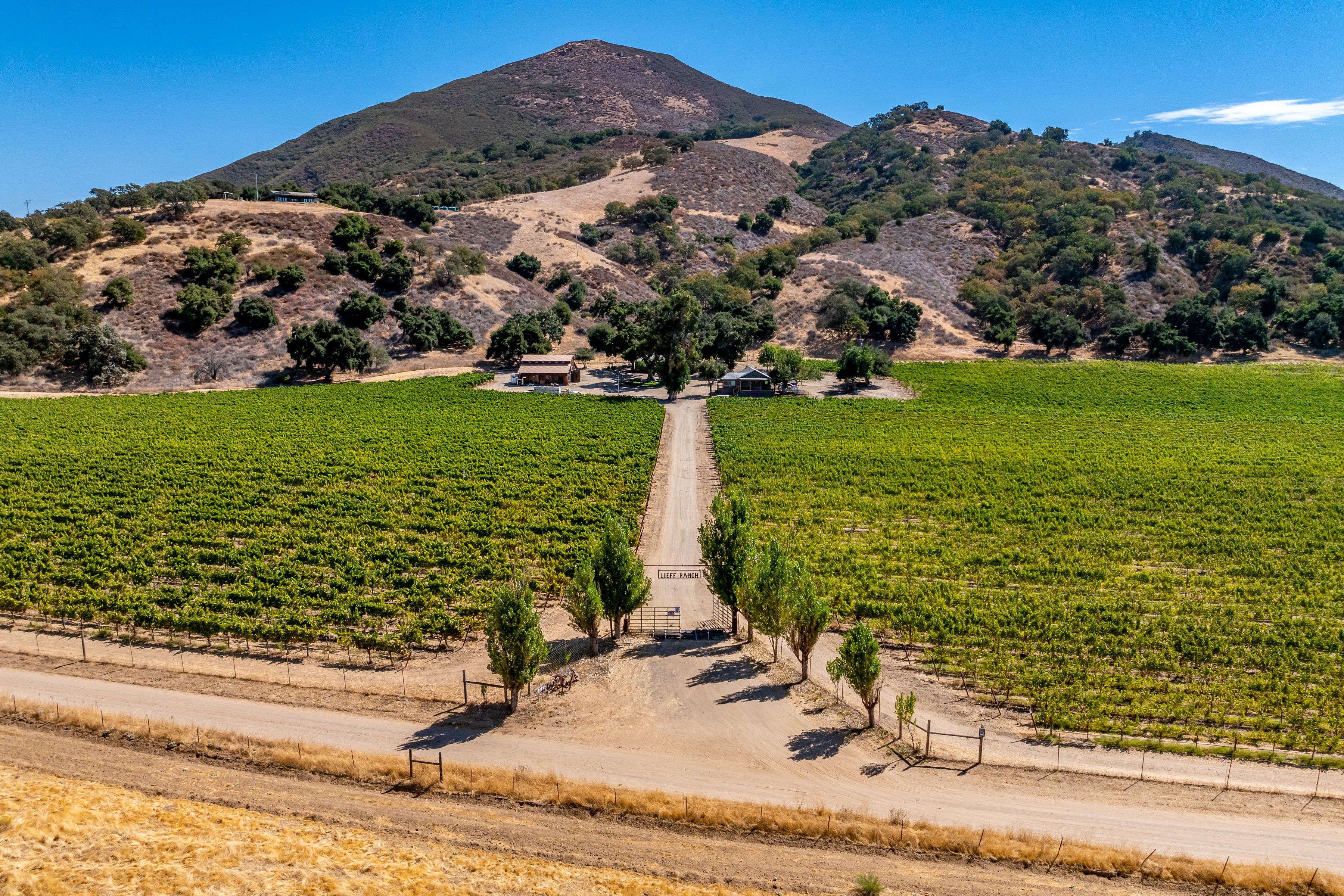  Extraordinary Vineyard Estate - 物件實景