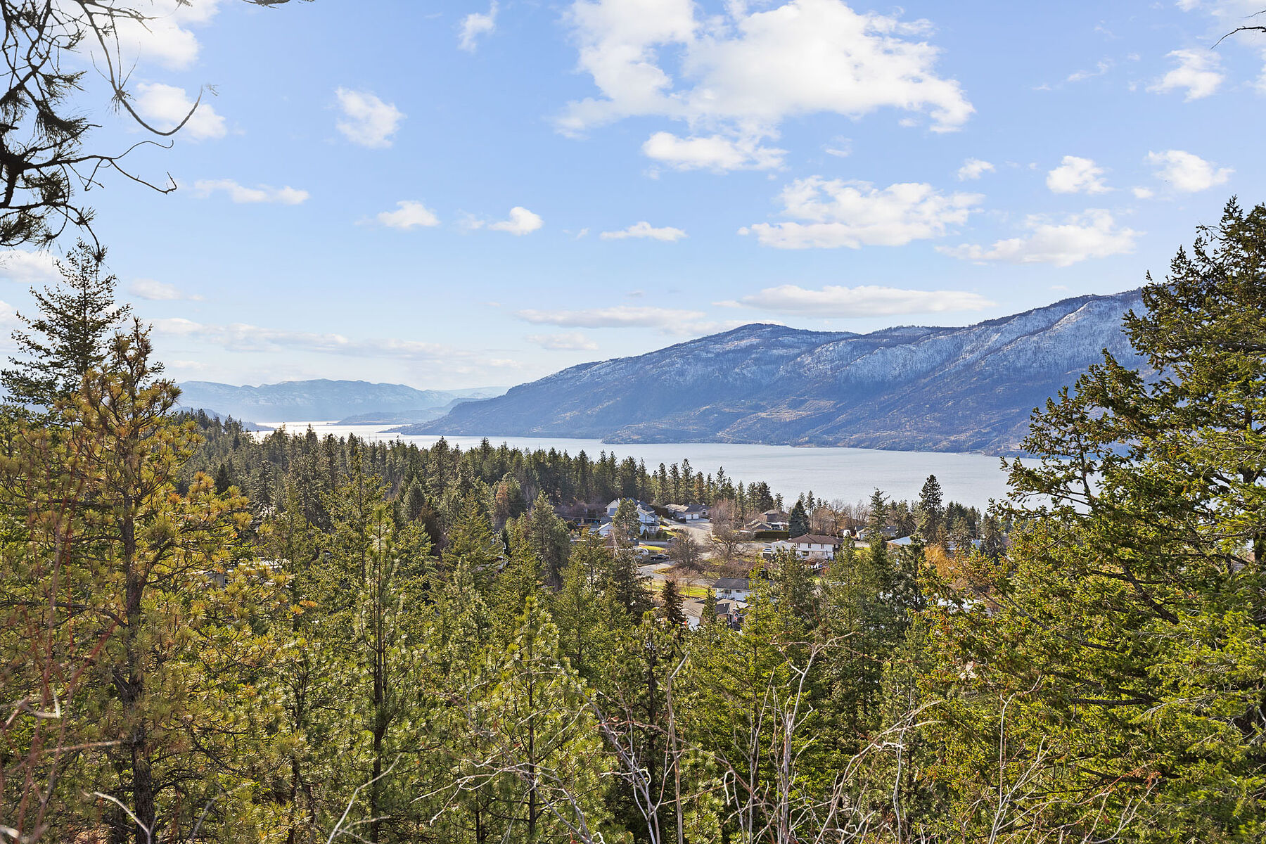  Triple Lake View - 物件實景