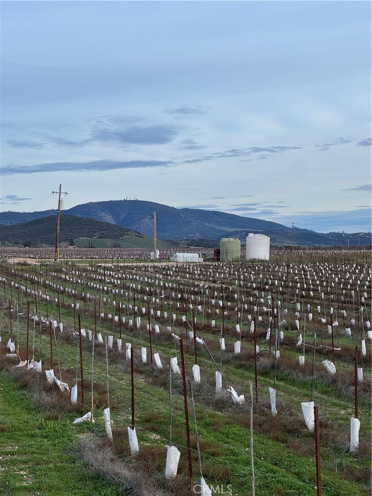 Lockwood, California, 93932, United States, ,Land,For Sale,2006086