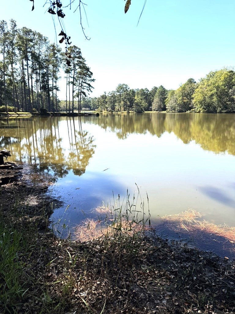 Chula, Georgia, 31733, United States, 4 Bedrooms Bedrooms, ,4 BathroomsBathrooms,Residential,For Sale,1979714