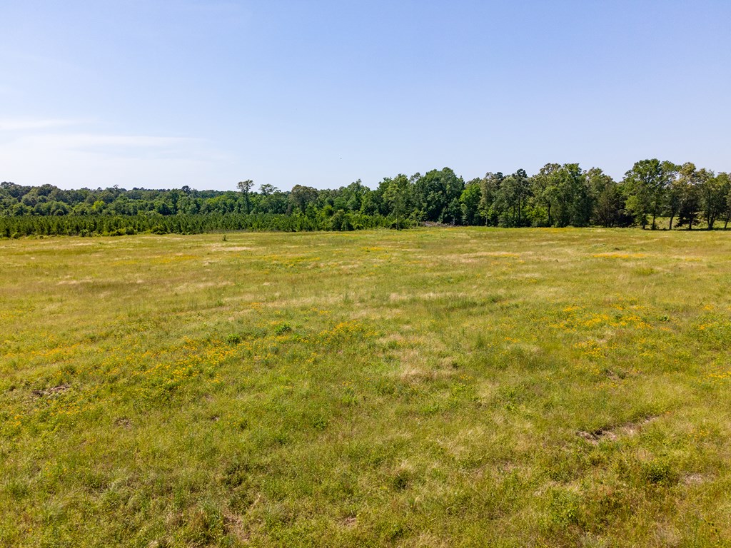 Pollok, Texas, 75969, United States, ,Residential,For Sale,1928088