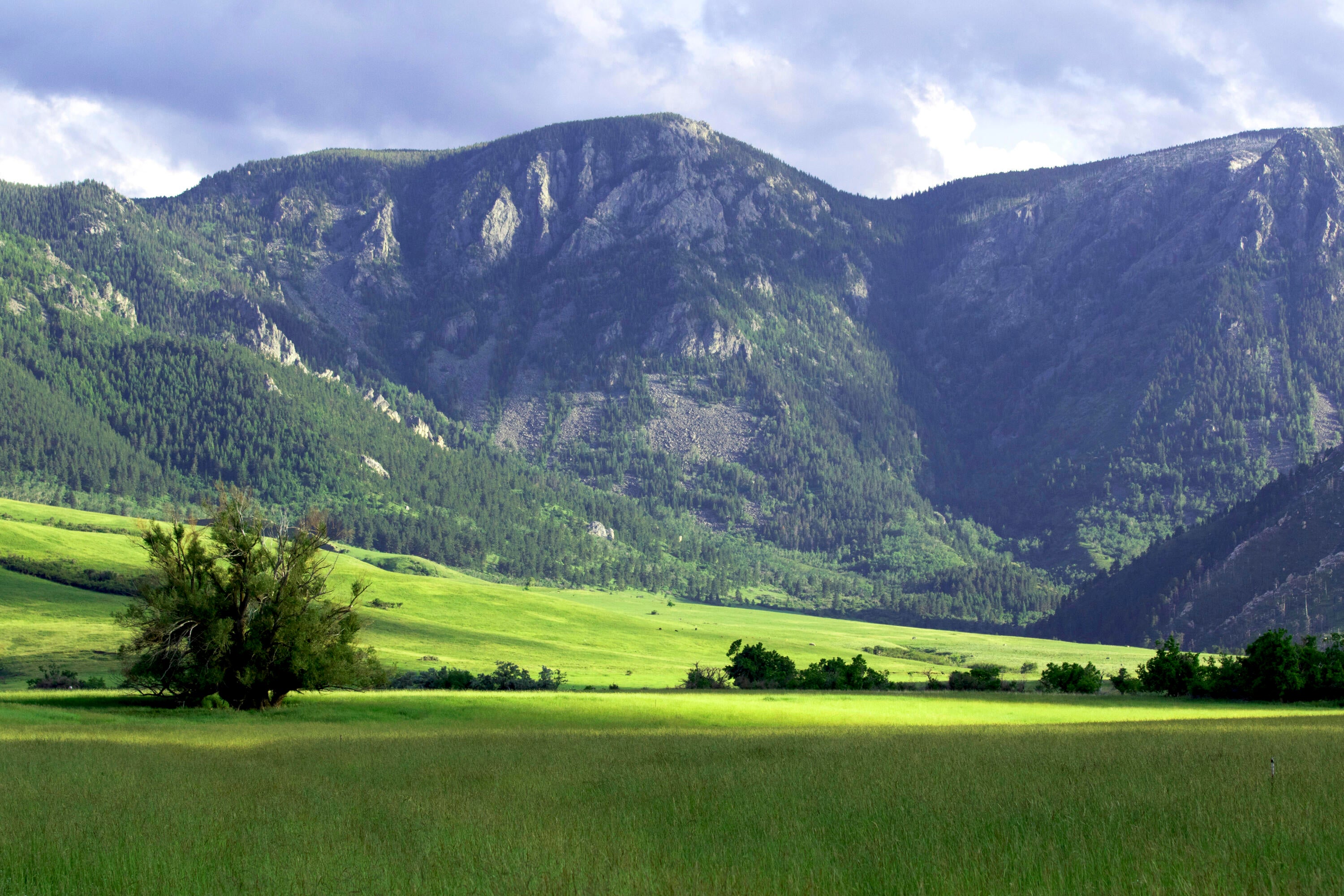 Big Horn, Wyoming, 82833, United States, 3 Bedrooms Bedrooms, ,4 BathroomsBathrooms,Residential,For Sale,2011301