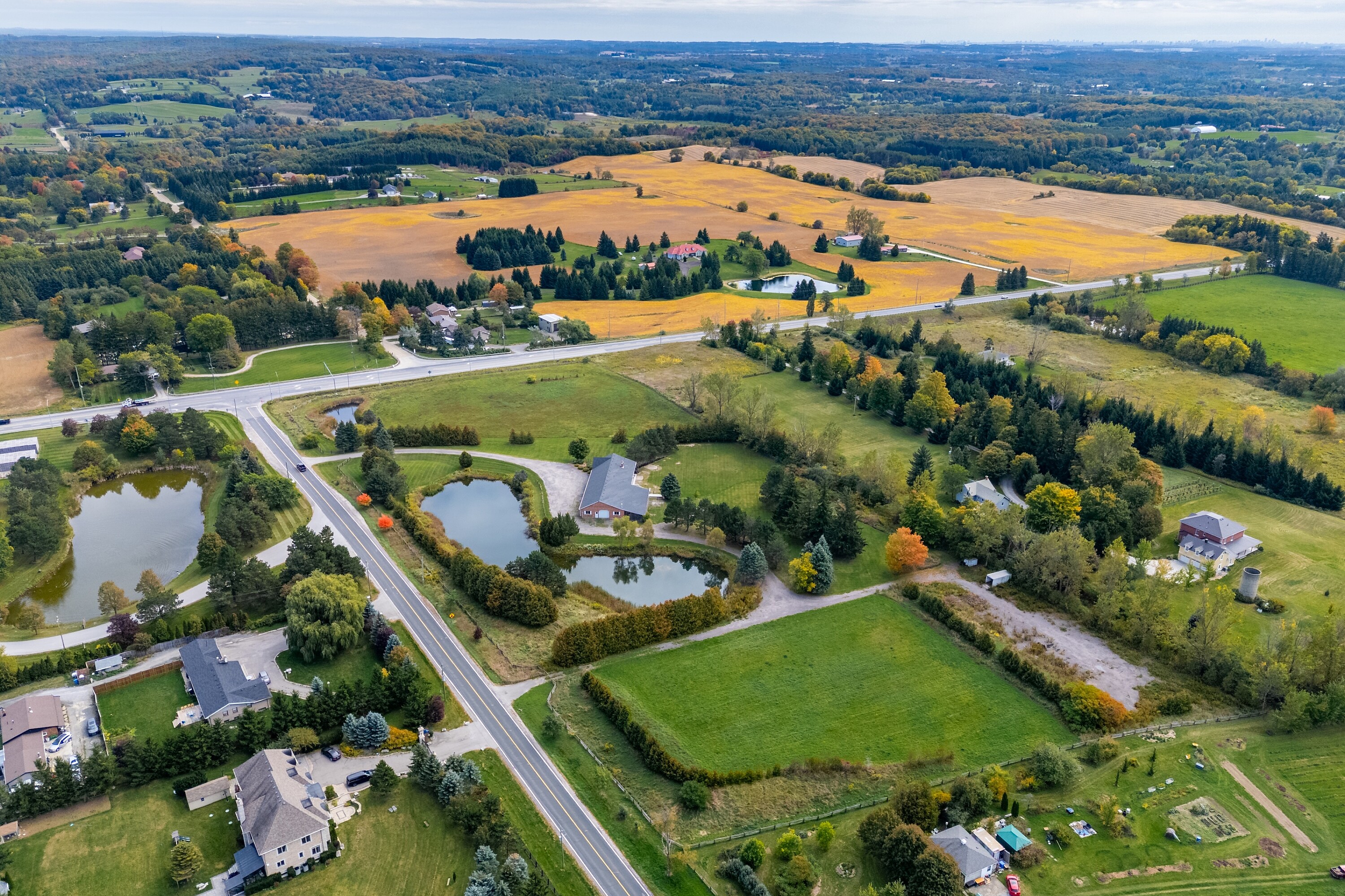  10+ Acre King Property - 物件實景