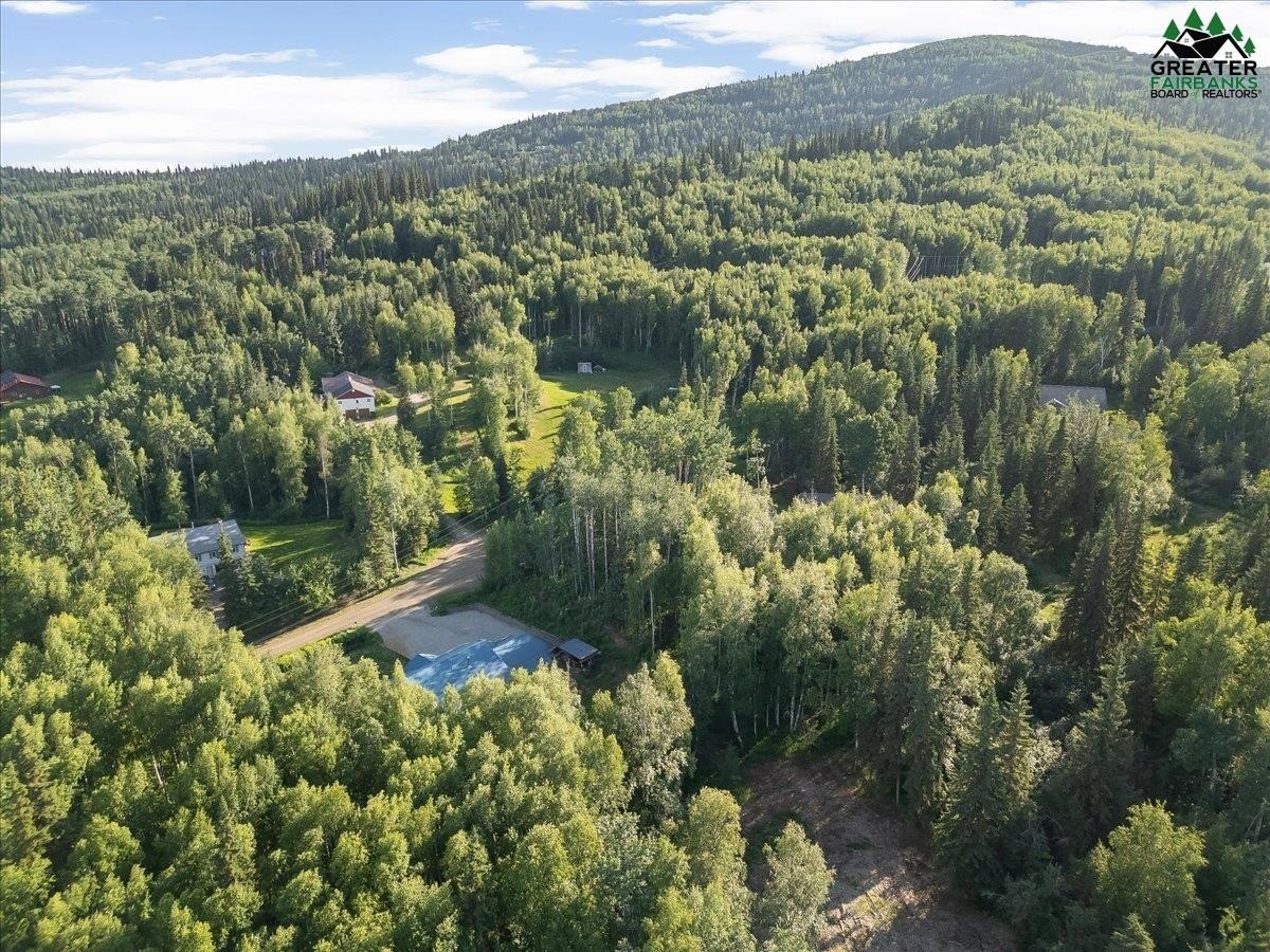 Fairbanks, Alaska, 99709, United States, 3 Bedrooms Bedrooms, ,3 BathroomsBathrooms,Residential,For Sale,1878419