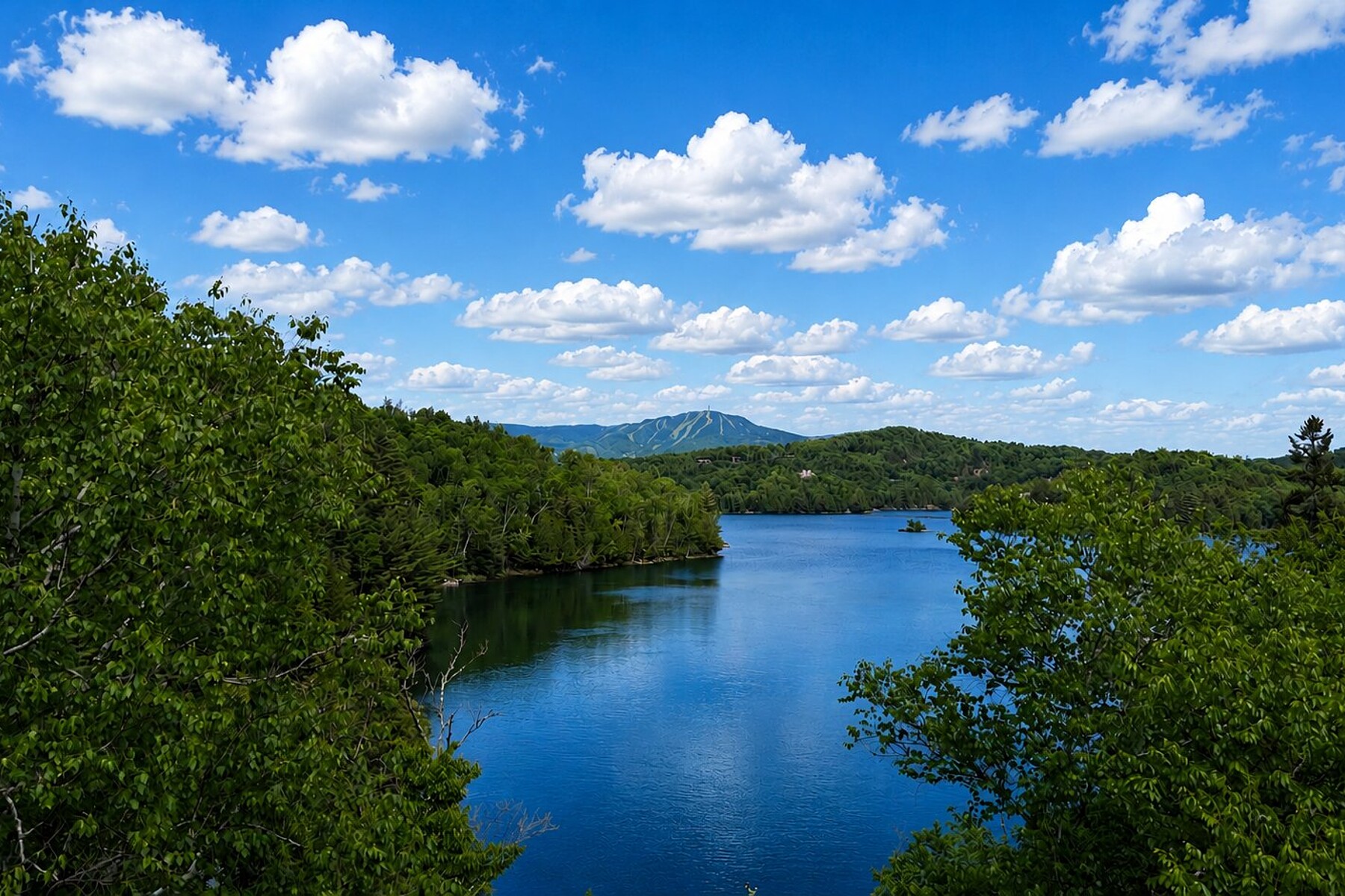  Mont-Tremblant, Laurentides - 物件實景