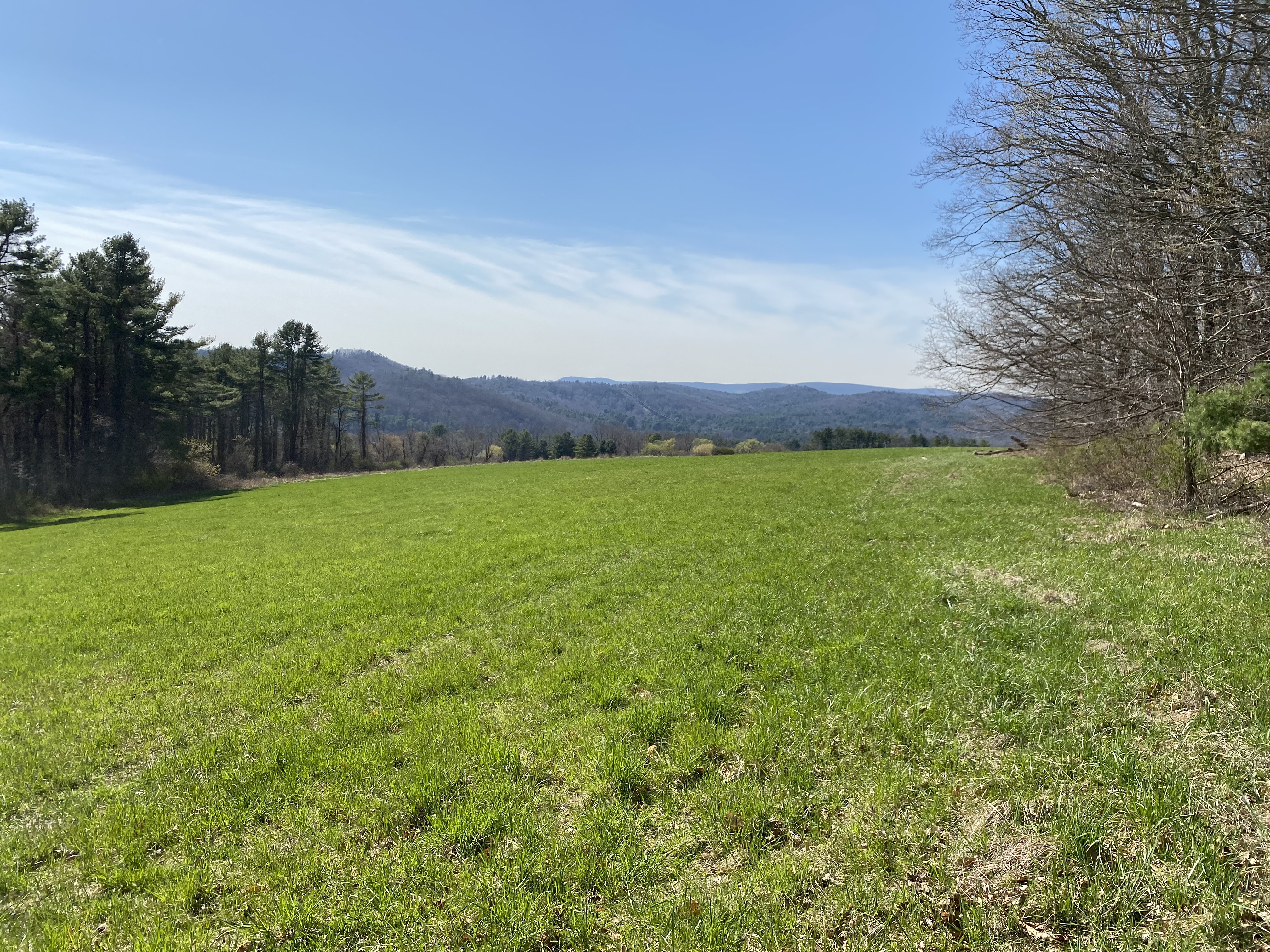  198-2 Beebe Hill Road - 物件實景