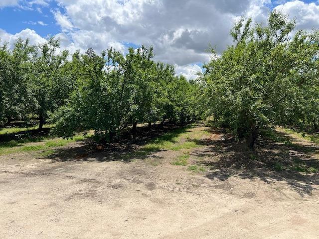 Turlock, California, 95380, United States, 3 Bedrooms Bedrooms, ,2 BathroomsBathrooms,Residential,For Sale,1765336