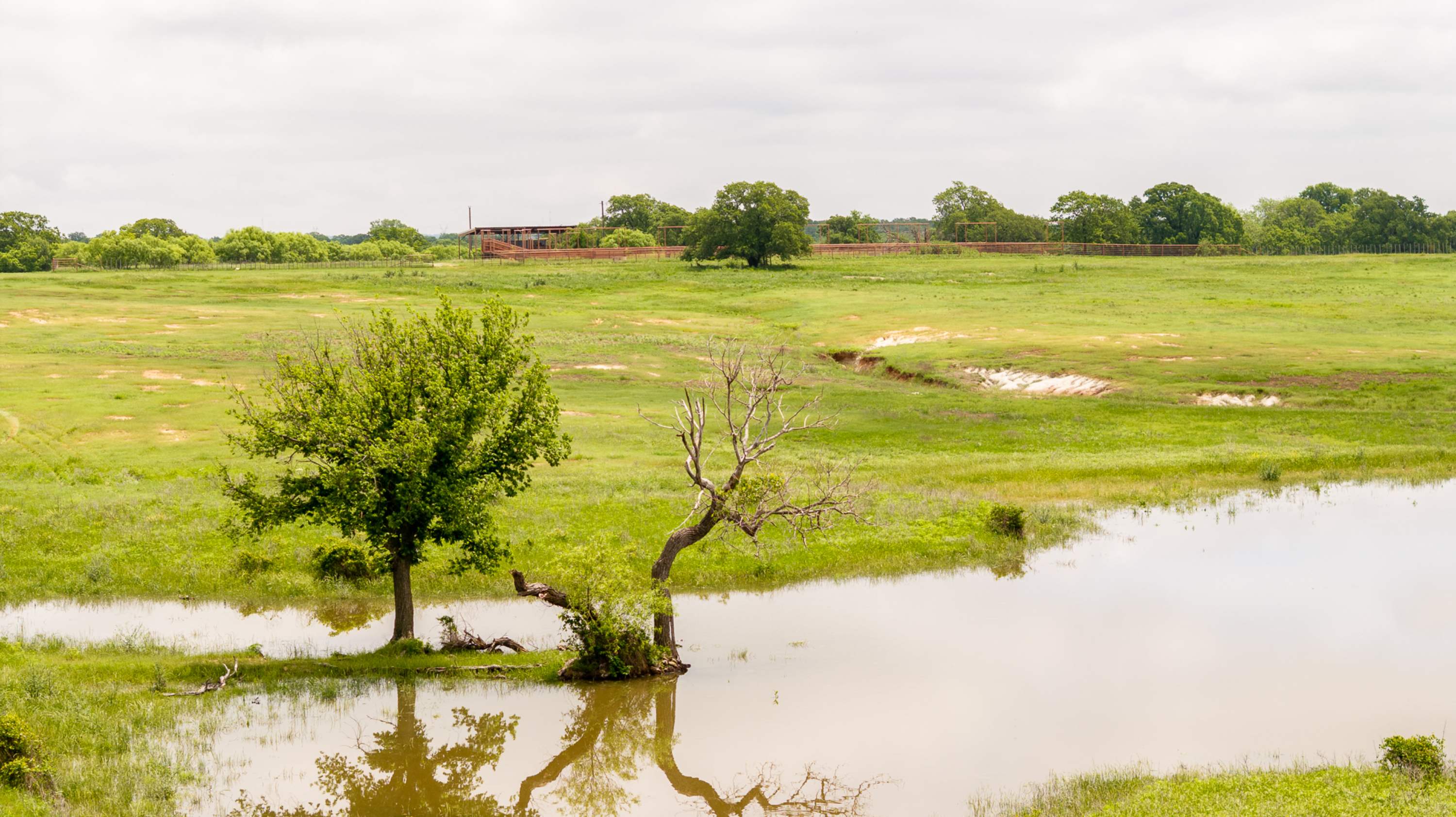  Rolling Oaks Ranch - 物件實景