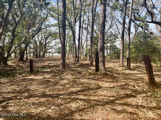 Supply, North Carolina, 28462, United States, ,Land,For Sale,1743684