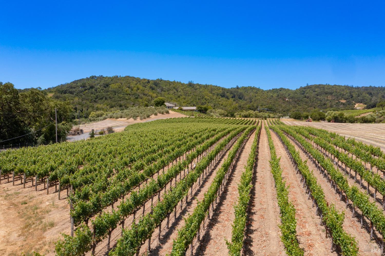 Napa, California, 94558, United States, 5 Bedrooms Bedrooms, ,8 BathroomsBathrooms,Residential,For Sale,1862462
