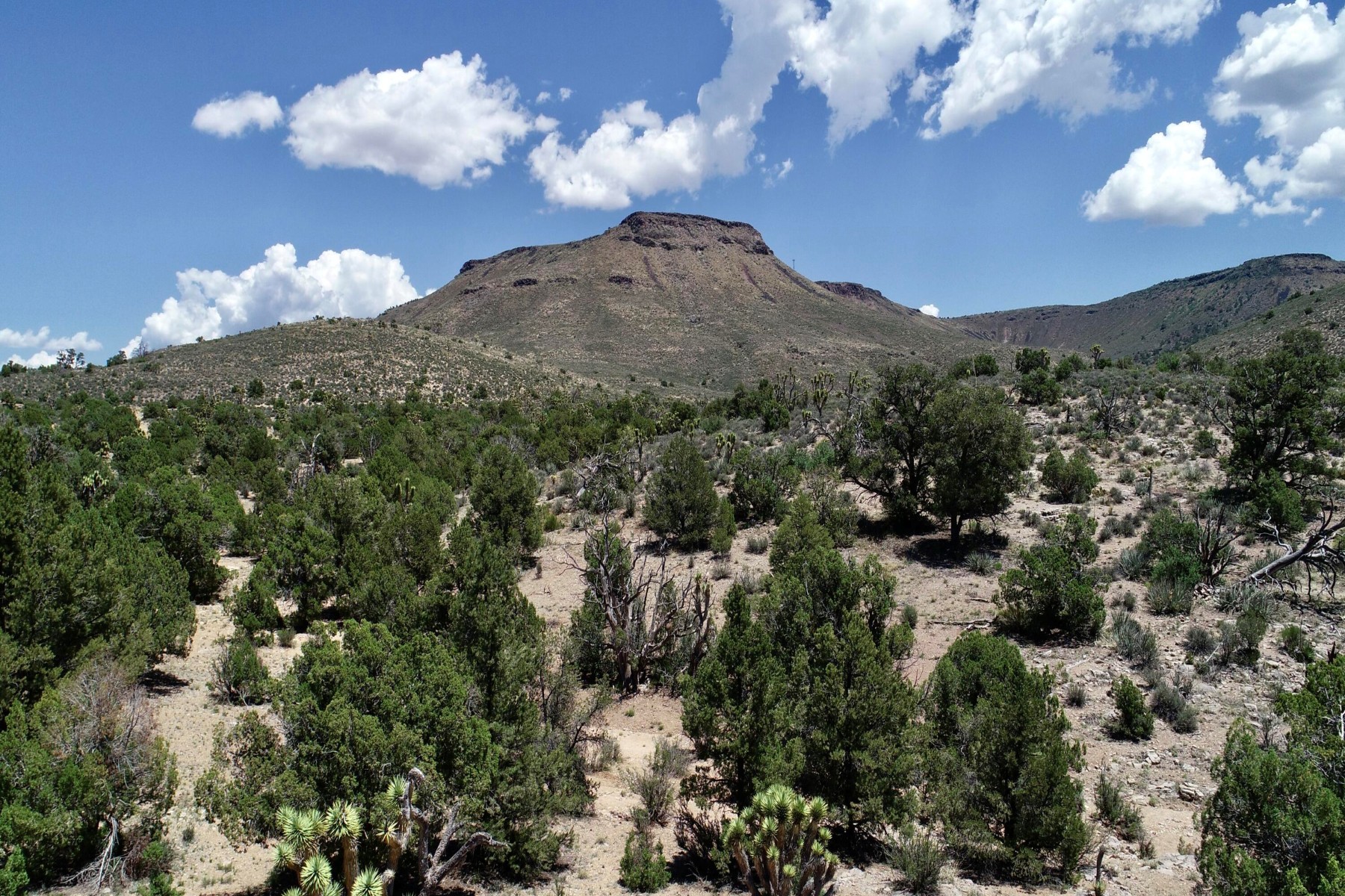  5838 E Diamond Bar Road ¦ Meadview, AZ - 物件實景