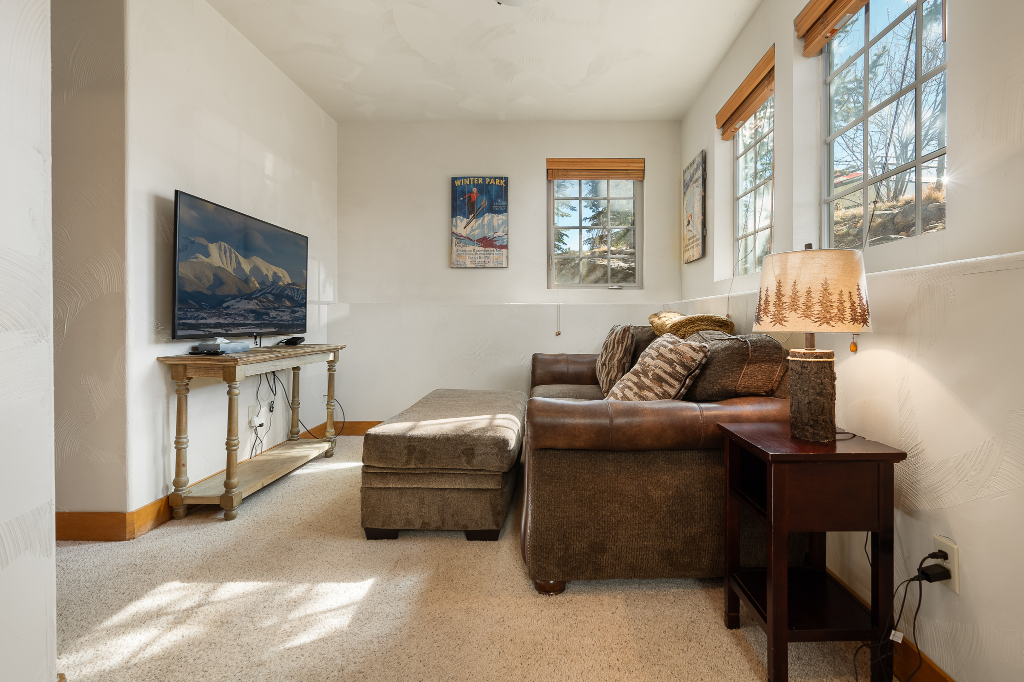  509 Red Quill, Winter Park, CO, 80482 - 物件實景