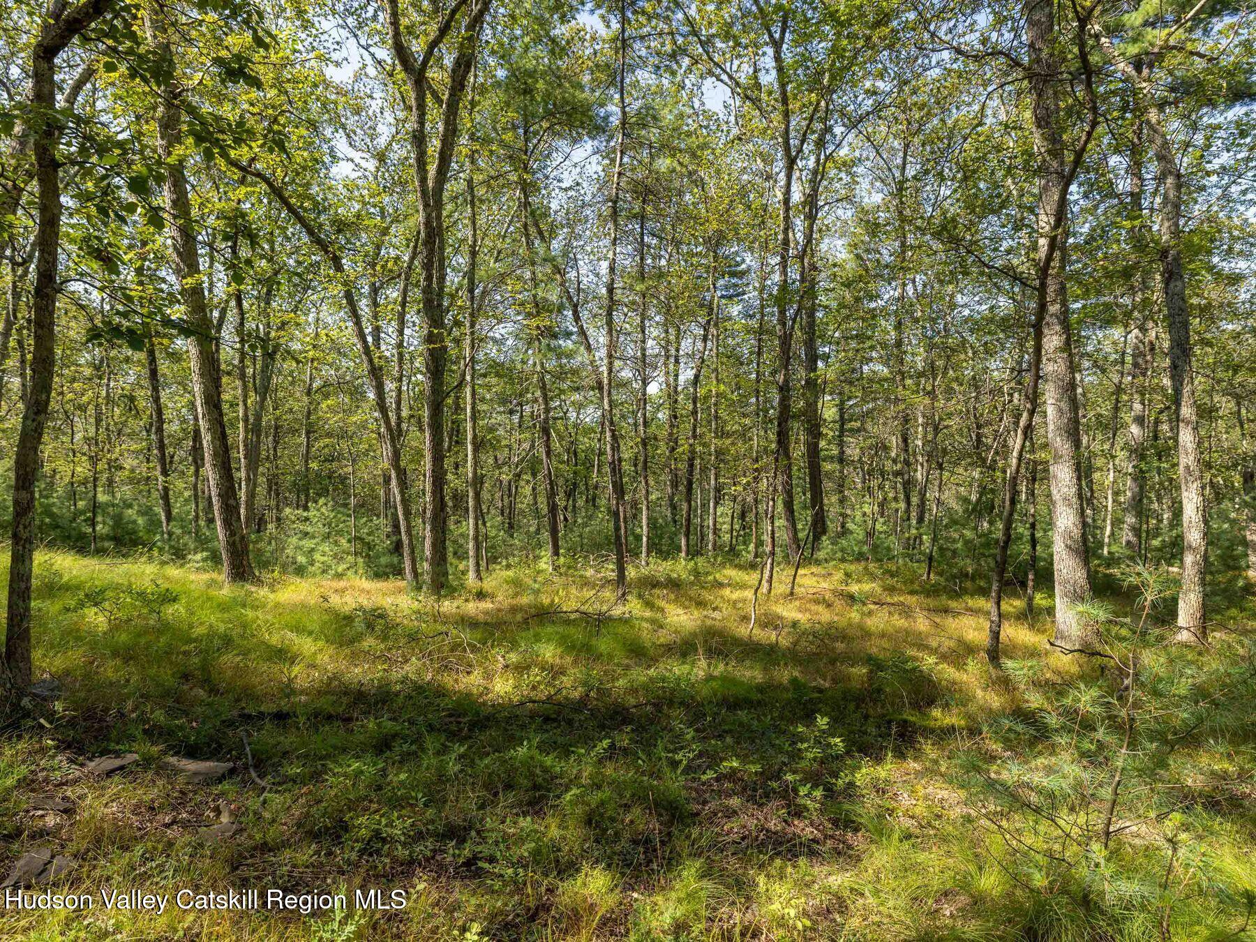 Hurley, New York, 12443, United States, ,Residential,For Sale,1947114