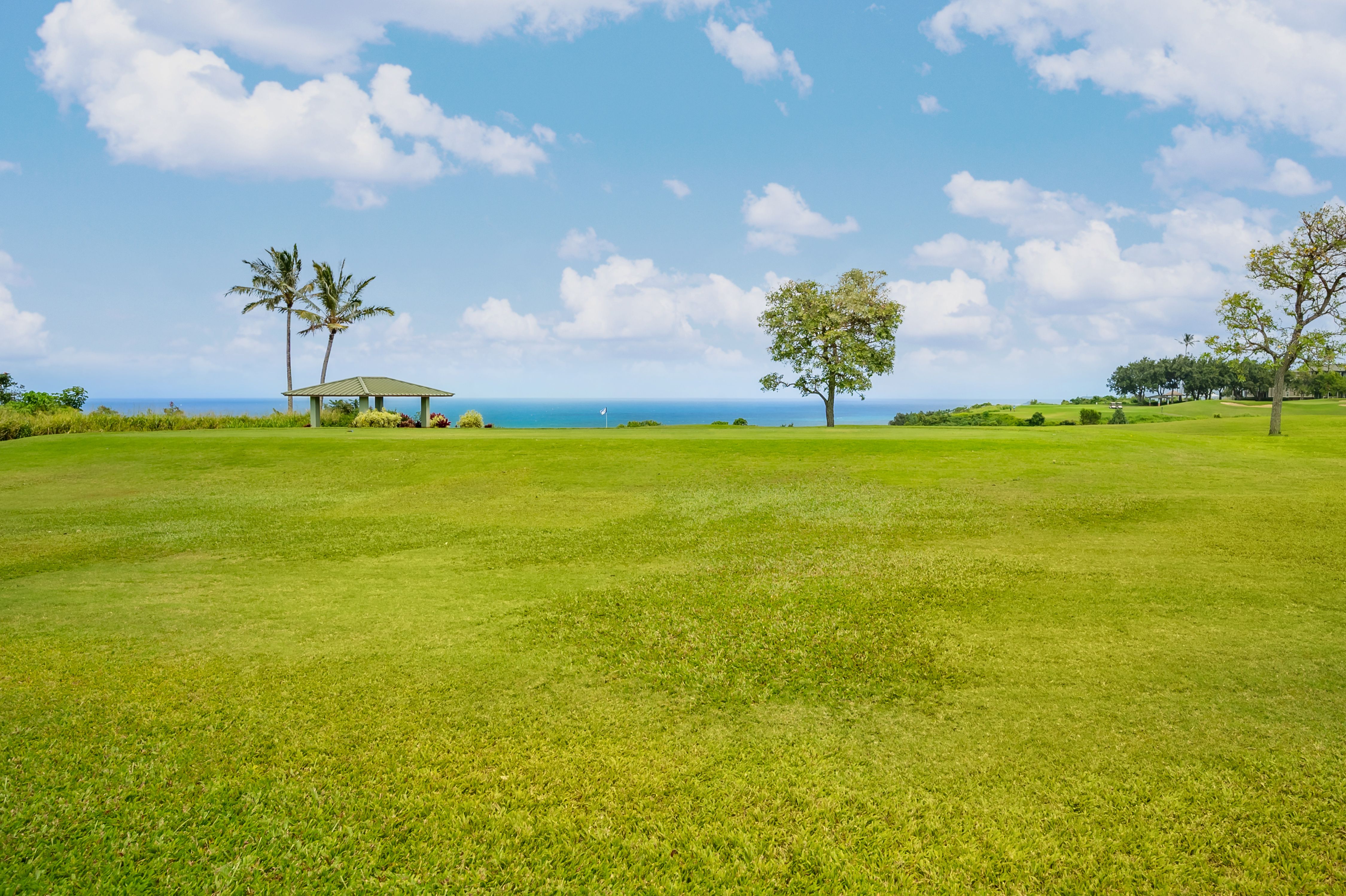  3800 Kamehameha Rd. Unit# #17 Princeville, HI, 96722 - 物件實景