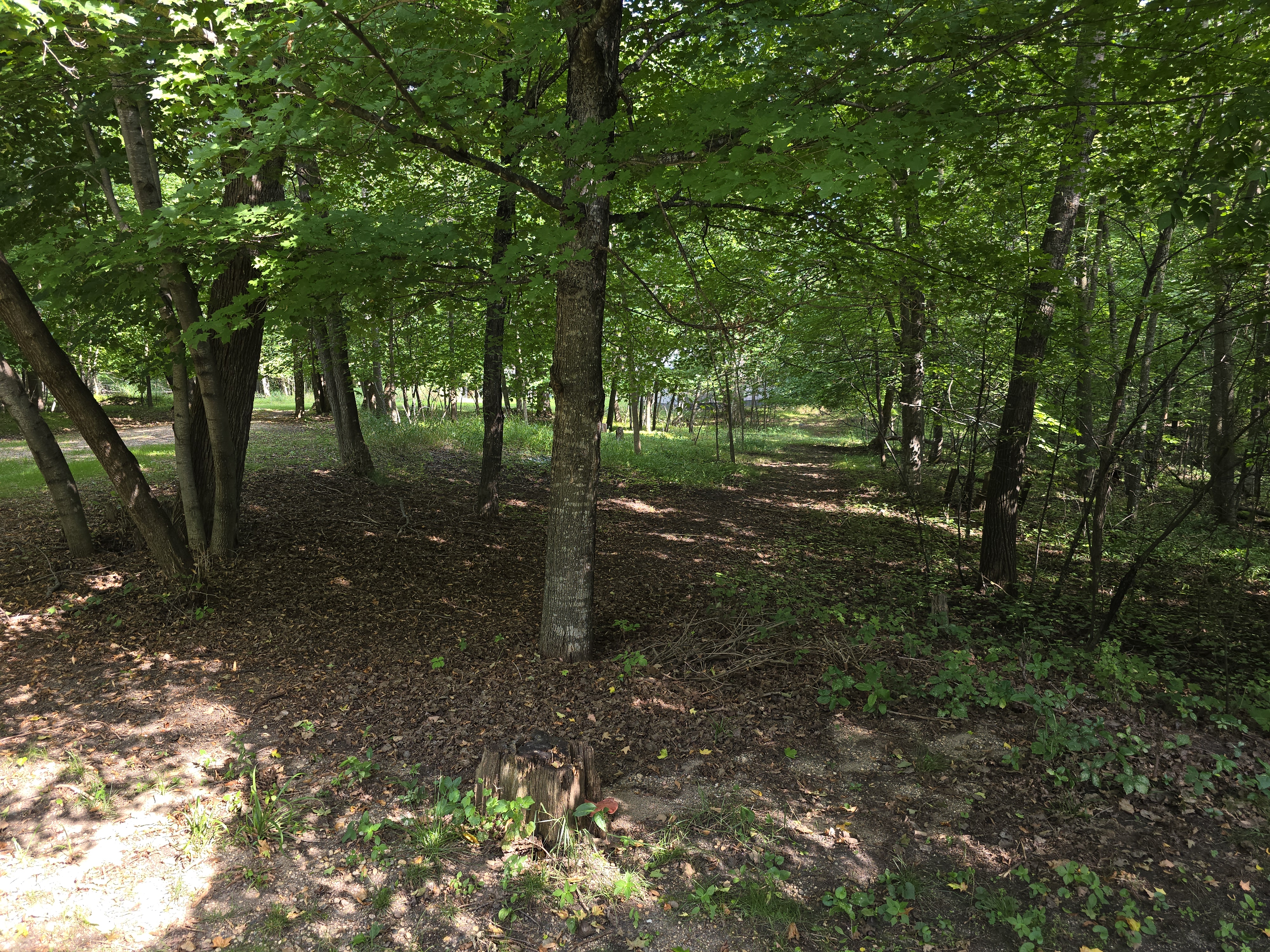 Lake Park, Minnesota, 56554, United States, 2 Bedrooms Bedrooms, ,Residential,For Sale,1927444