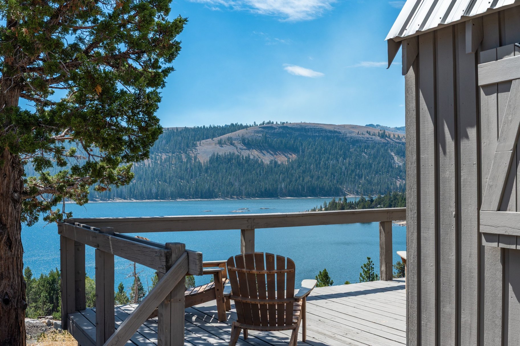  The Juniper Cabin: A Wild Invitation to See the World Differently - 物件實景