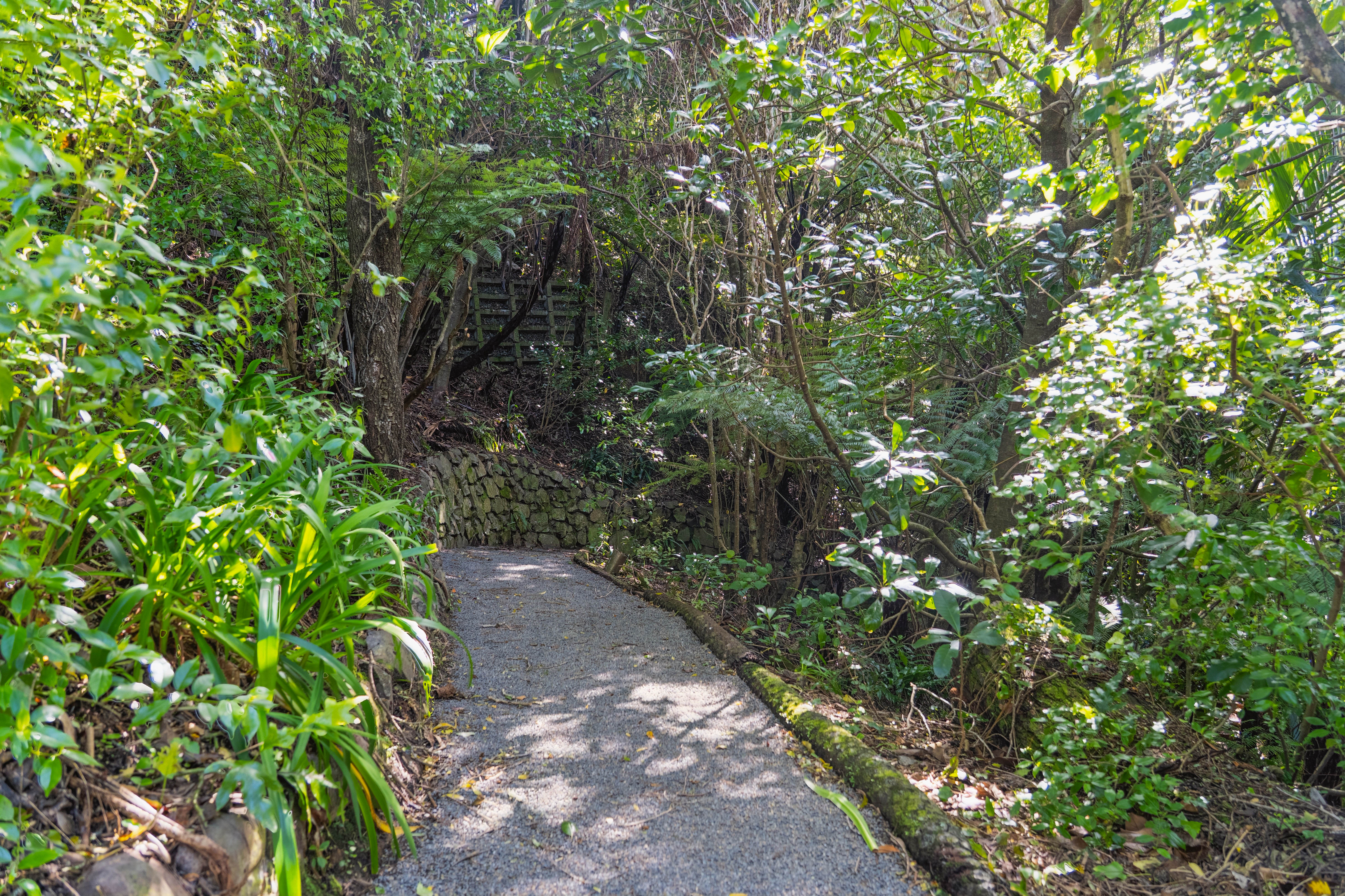  59 Wairere Road, Belmont, Lower Hutt, 5010 - 物件實景