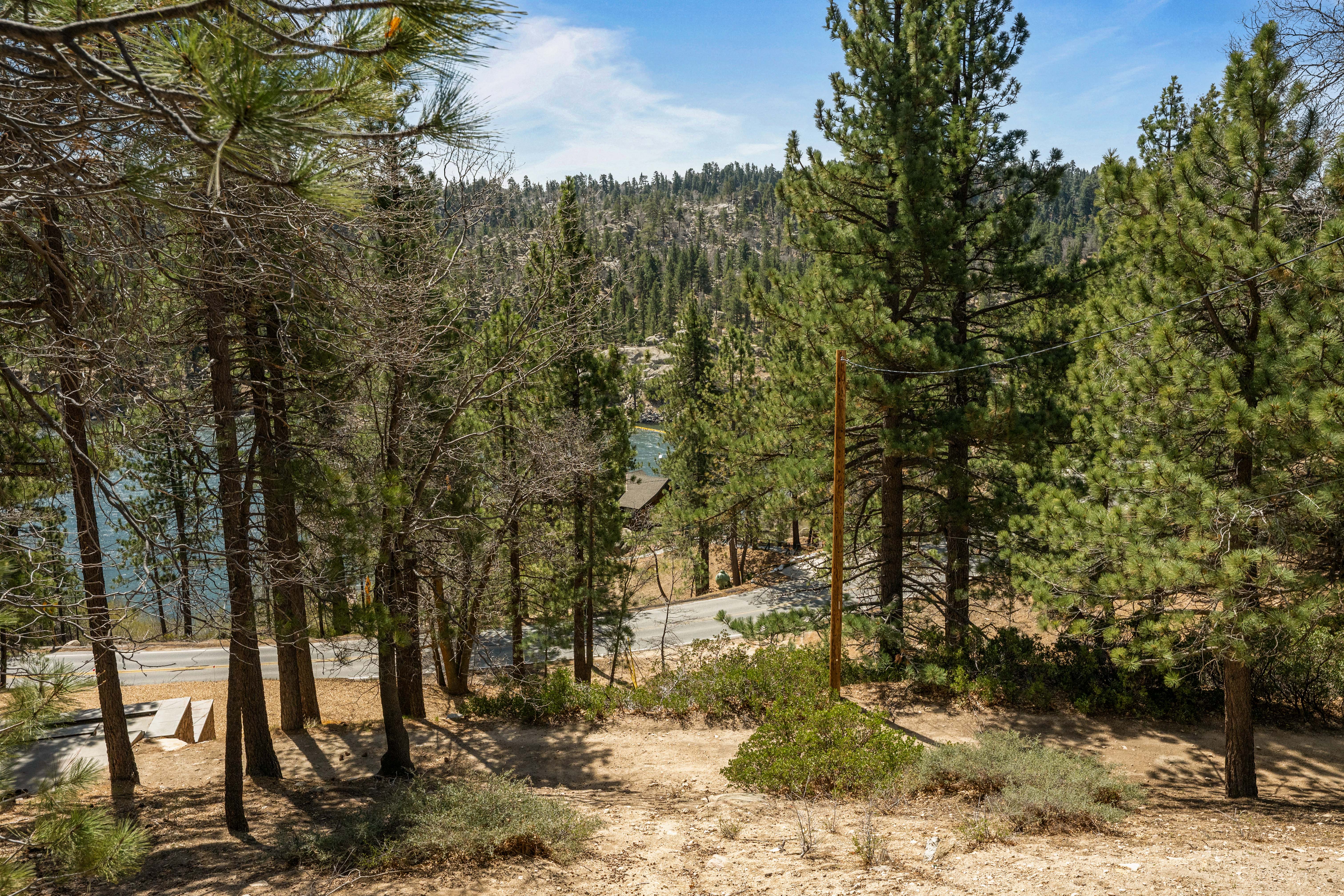  260 Nolan Trail, Fawnskin, CA 92333 - 物件實景