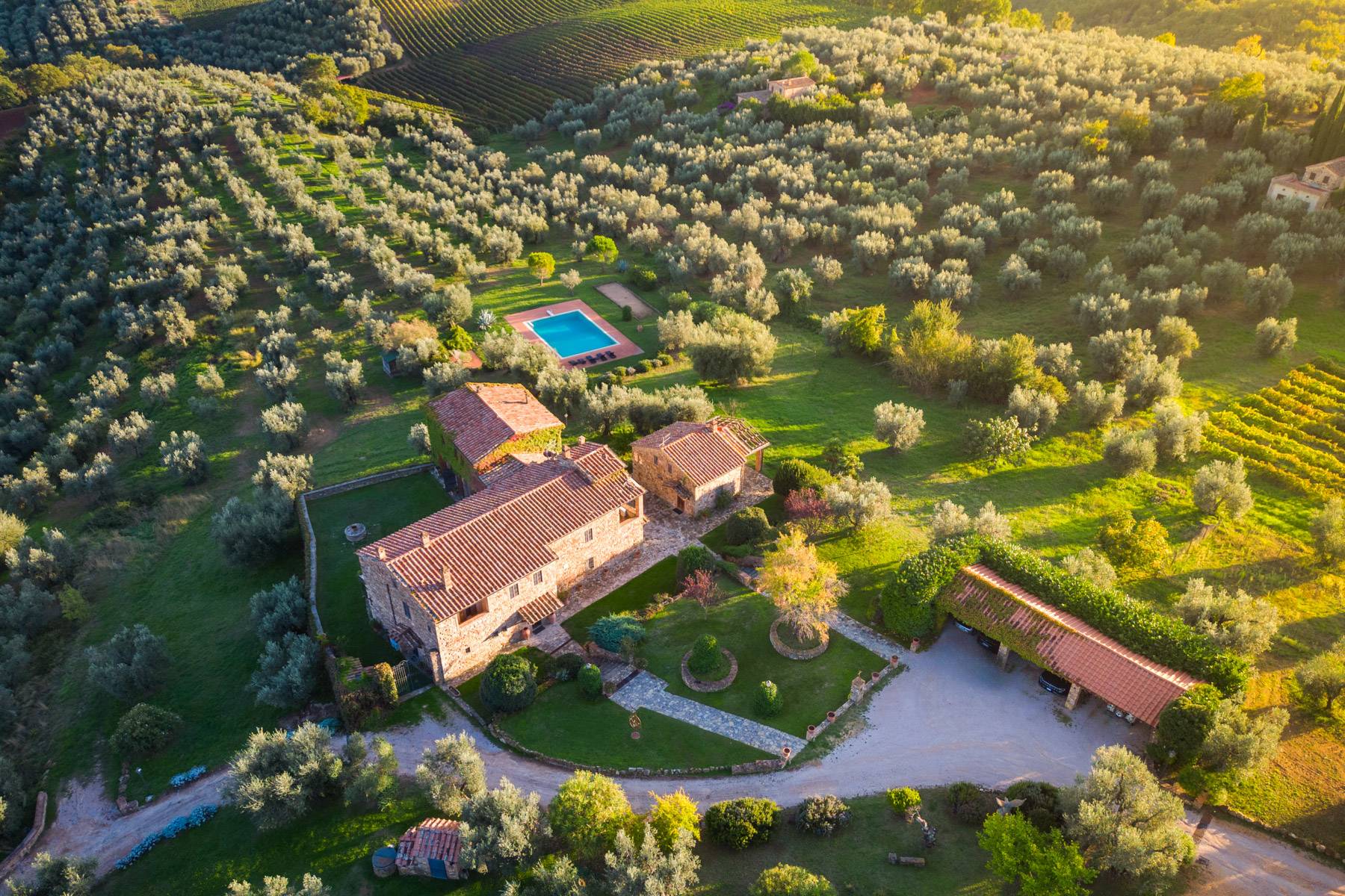  Historic farmhouse with olive grove and vineyard - 物件實景
