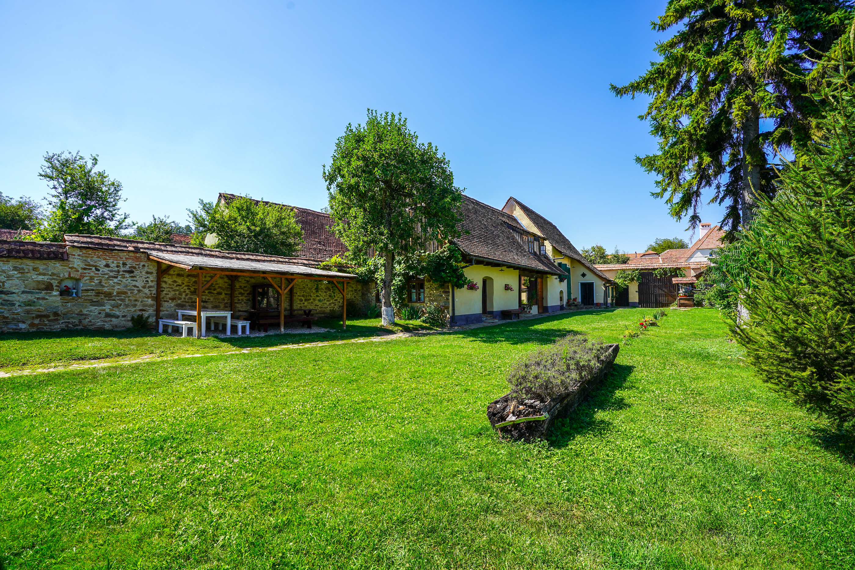  Restored Authentic Saxon House in Viscri, Between Heritage and Nature - 物件實景
