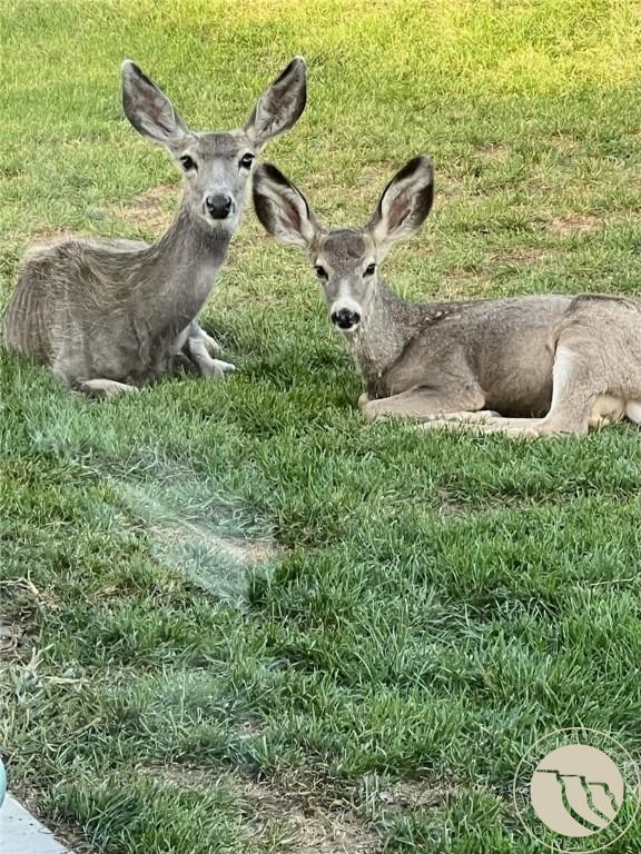 Billings, Montana, 59101, United States, 3 Bedrooms Bedrooms, ,2 BathroomsBathrooms,Residential,For Sale,1993388