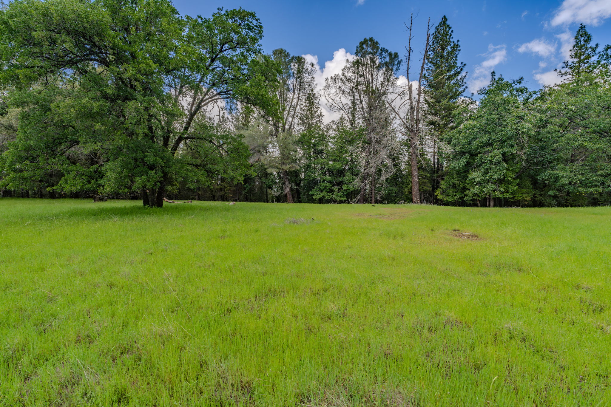  19351 Fiddletown Road, Fiddletown, CA 95629 - 物件實景