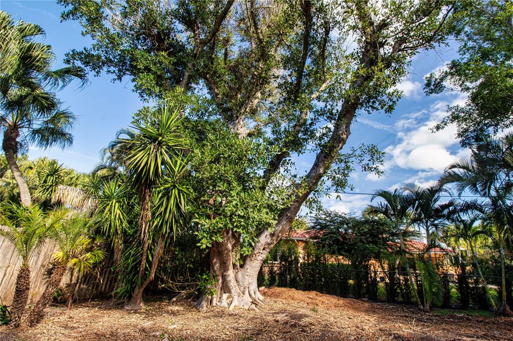 Sarasota, Florida, 34236, United States, ,Land,For Sale,1990310