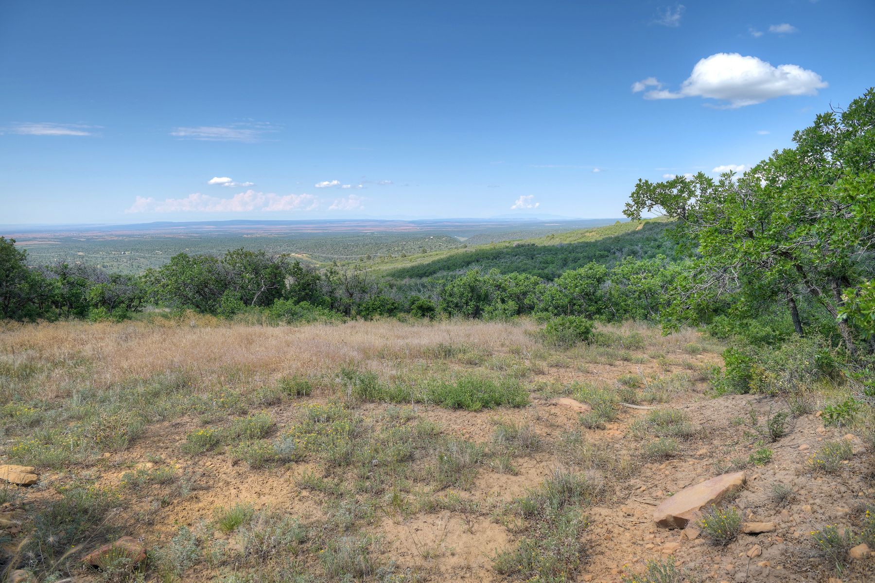 TBD Cross Creek Road, Hesperus, CO 81326 - 物件實景