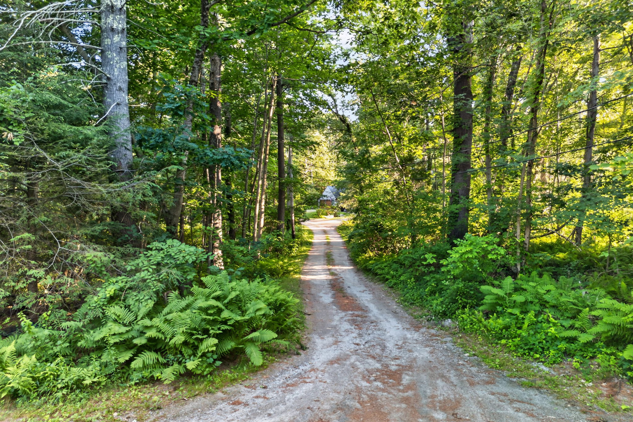  0 Heald Road, Carlisle, MA, 01741 - 物件實景