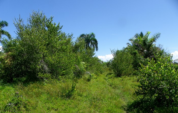 Cabarete, DO, ,Land,For Sale,1627535