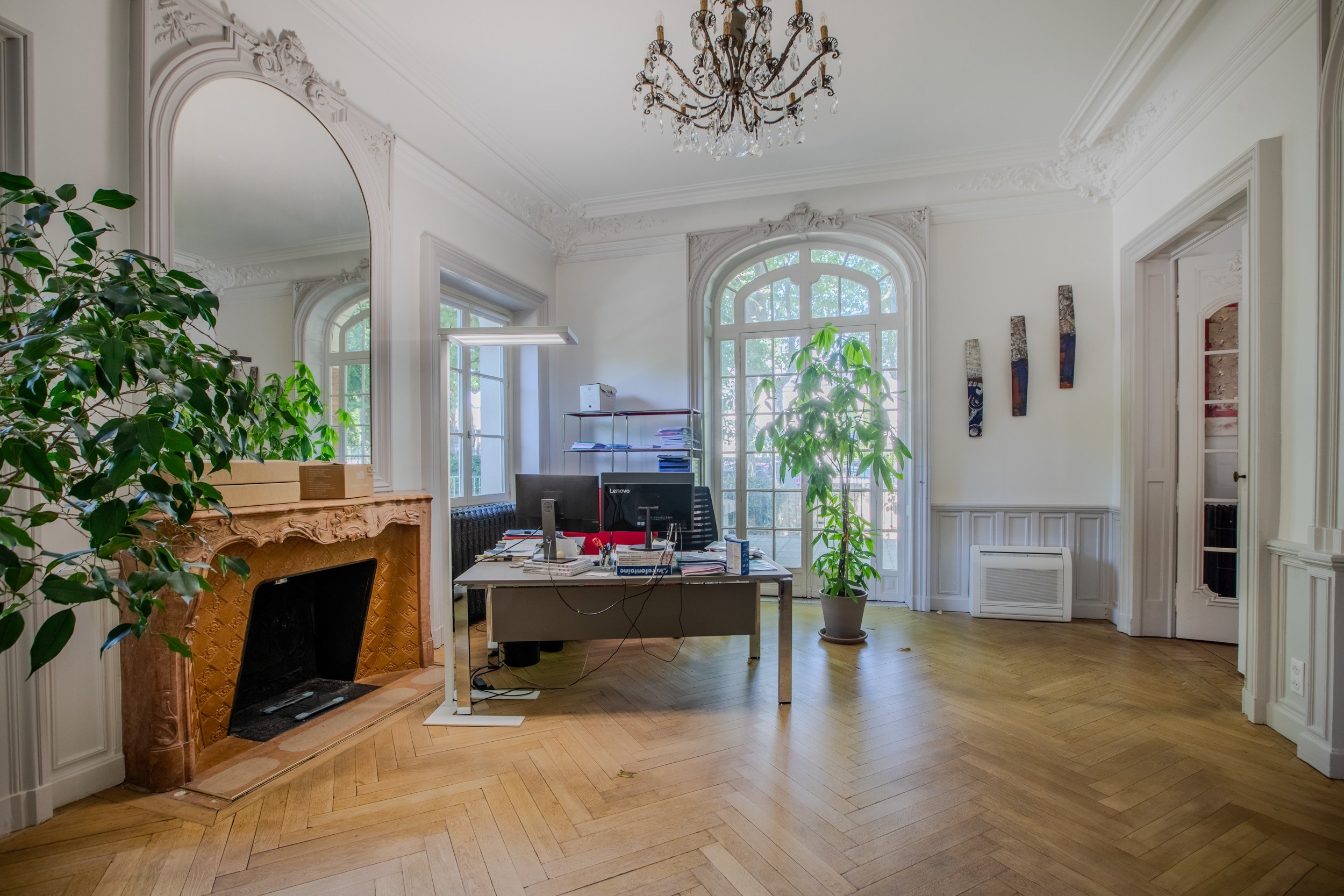  Burgundy-Beaune Splendid Belle Époque Mansion - 物件實景