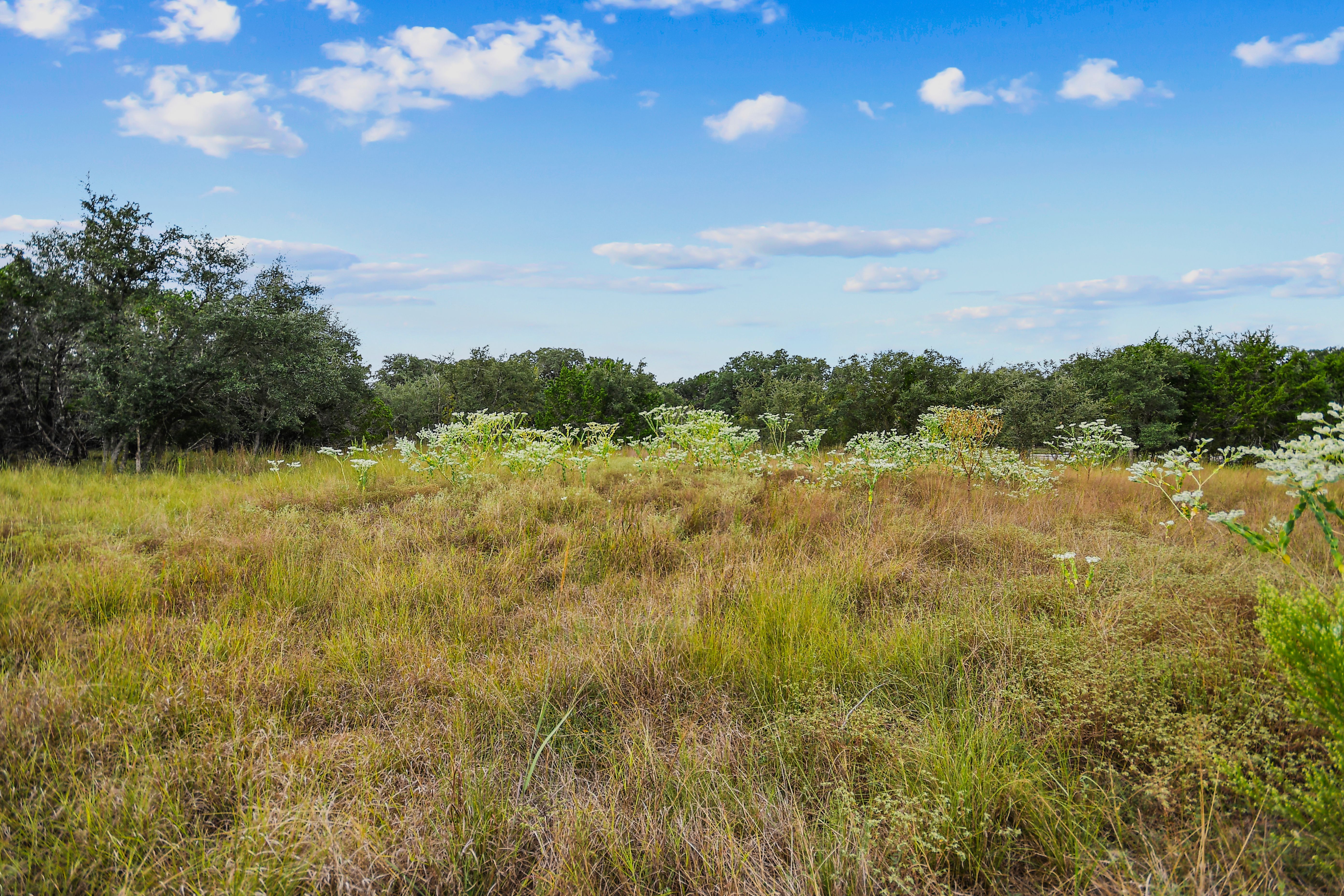  TBD Hwy 46 / Madrona Ranch Road, Pipe Creek, TX 78063 - 物件實景