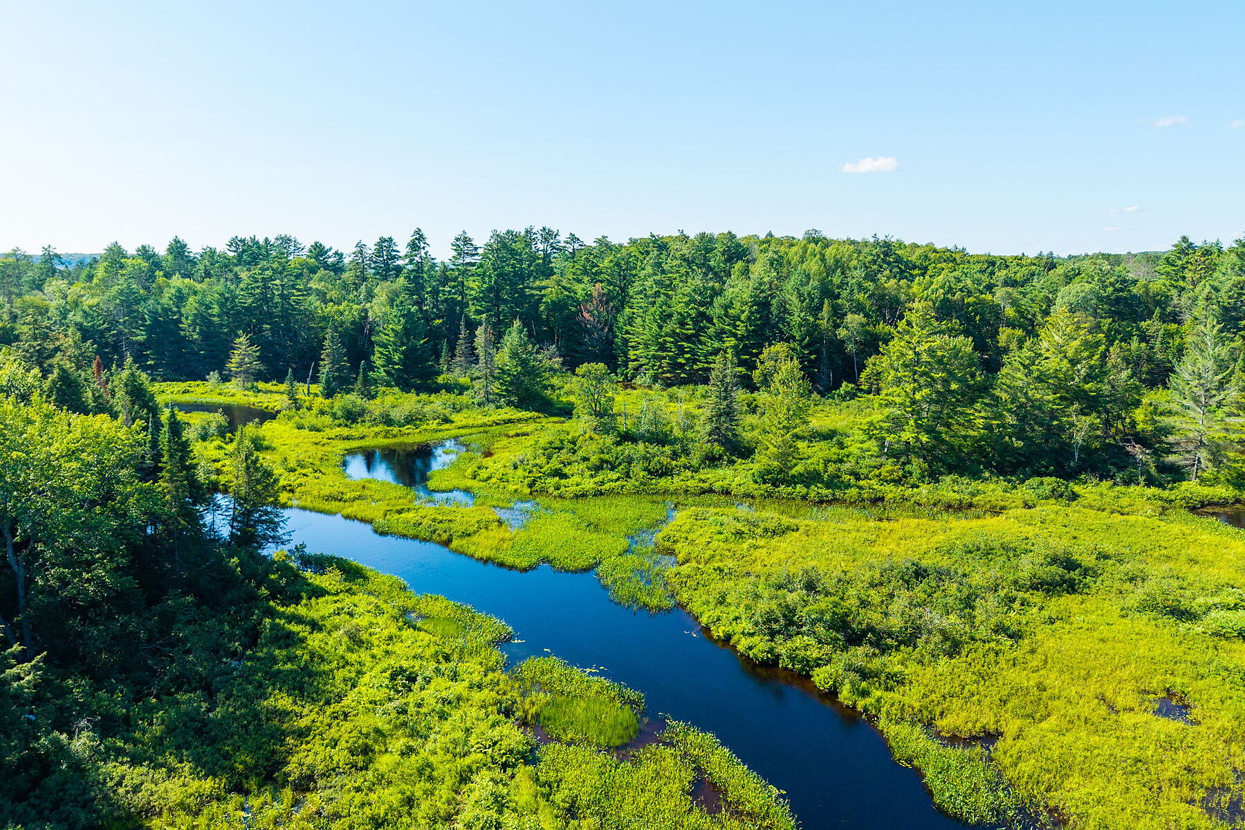  Buck River Huntsville - 物件實景