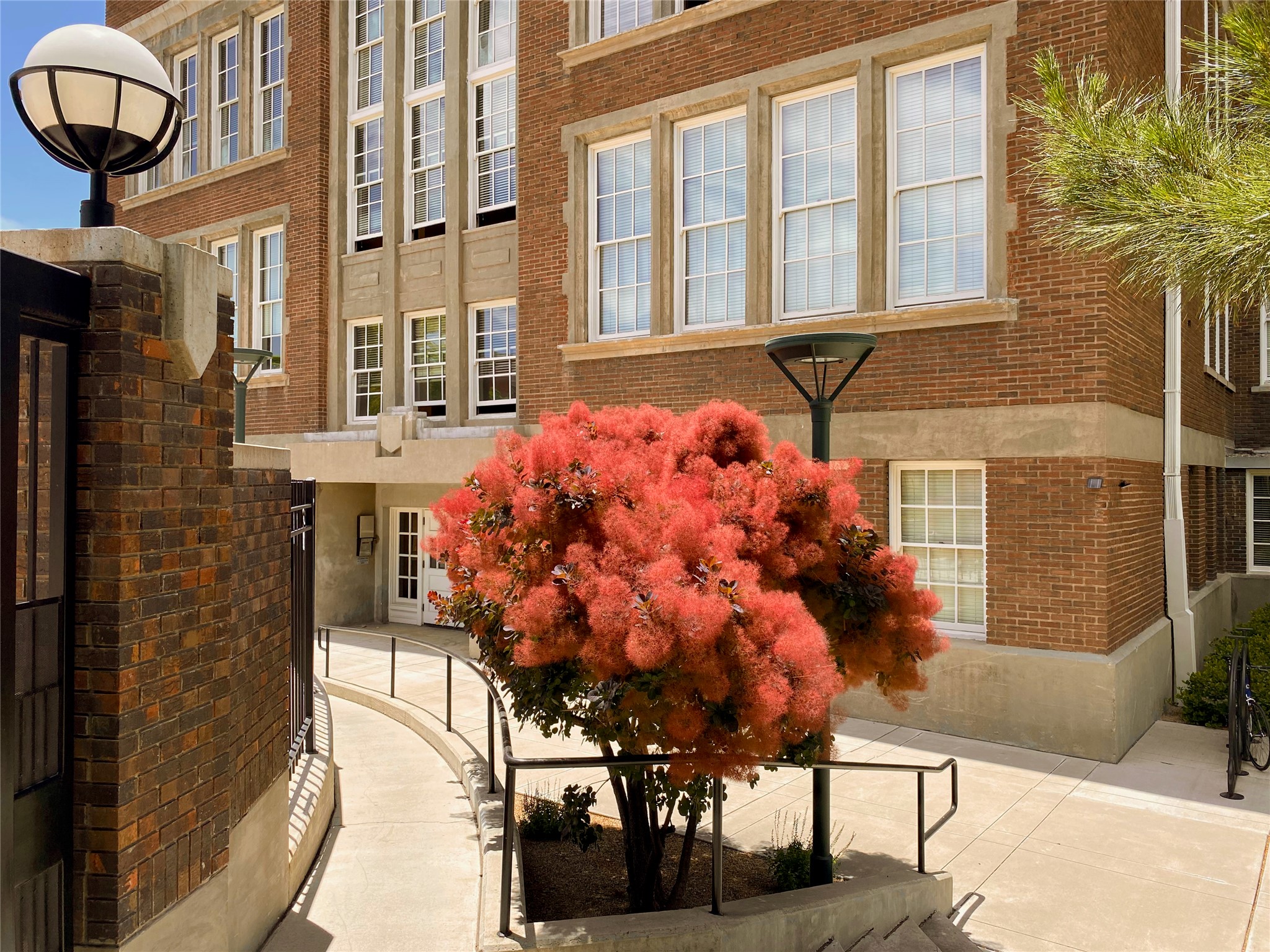  301 Central Avenue Ne #113 - 物件實景