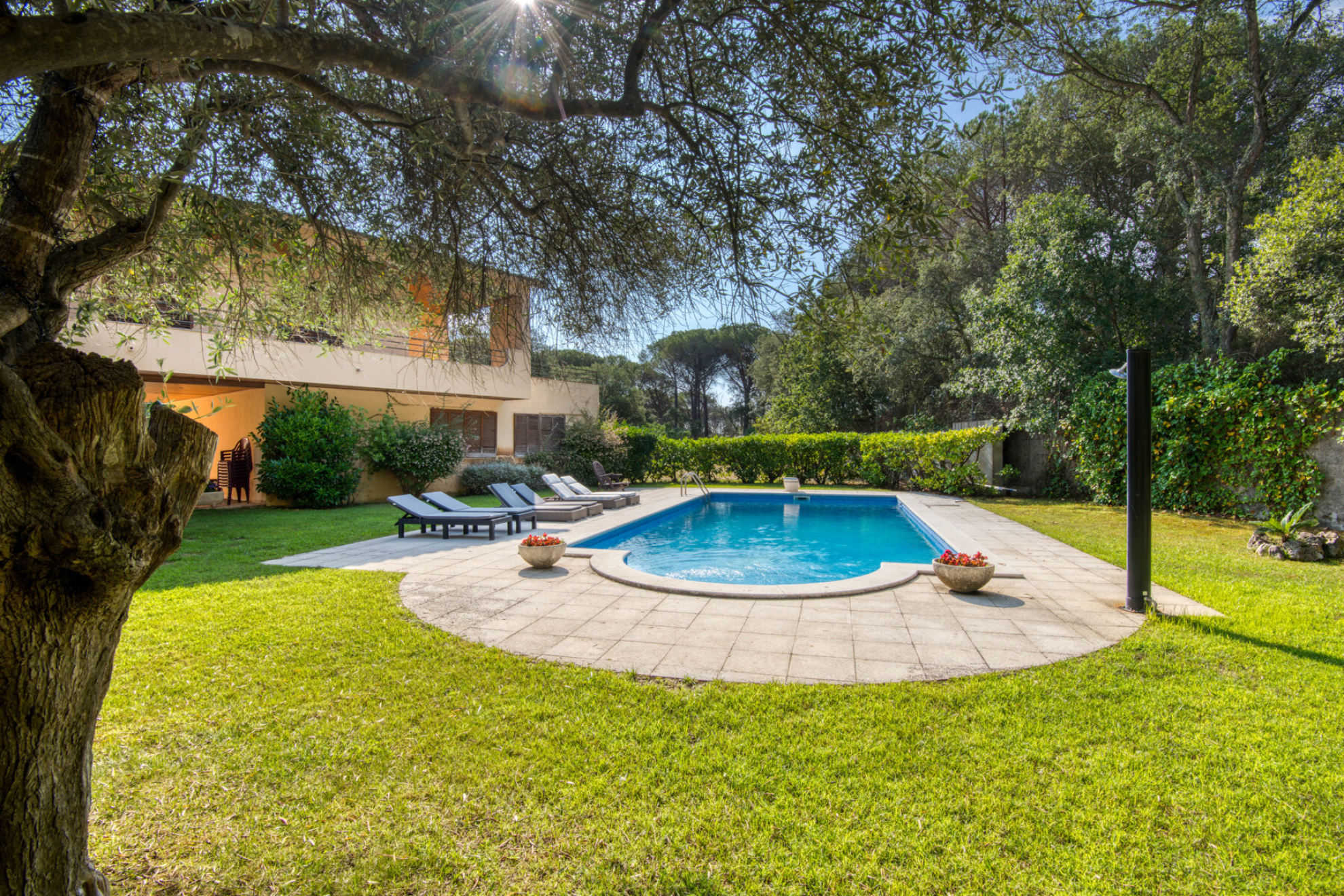  Beautiful villa in ideal location, surrounded by nature, in Solius - 物件實景