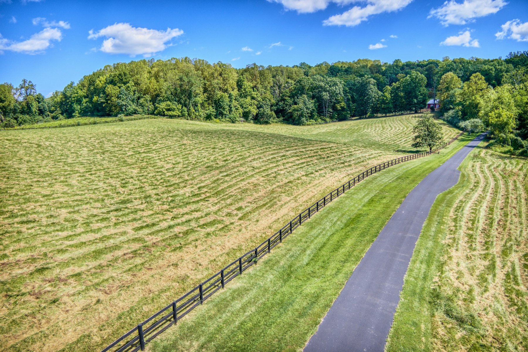  13442 Loyalty Road, Leesburg, VA, 20176 - 物件實景