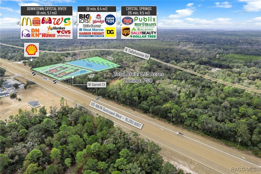 Crystal River, Florida, 34428, United States, ,Land,For Sale,2006050