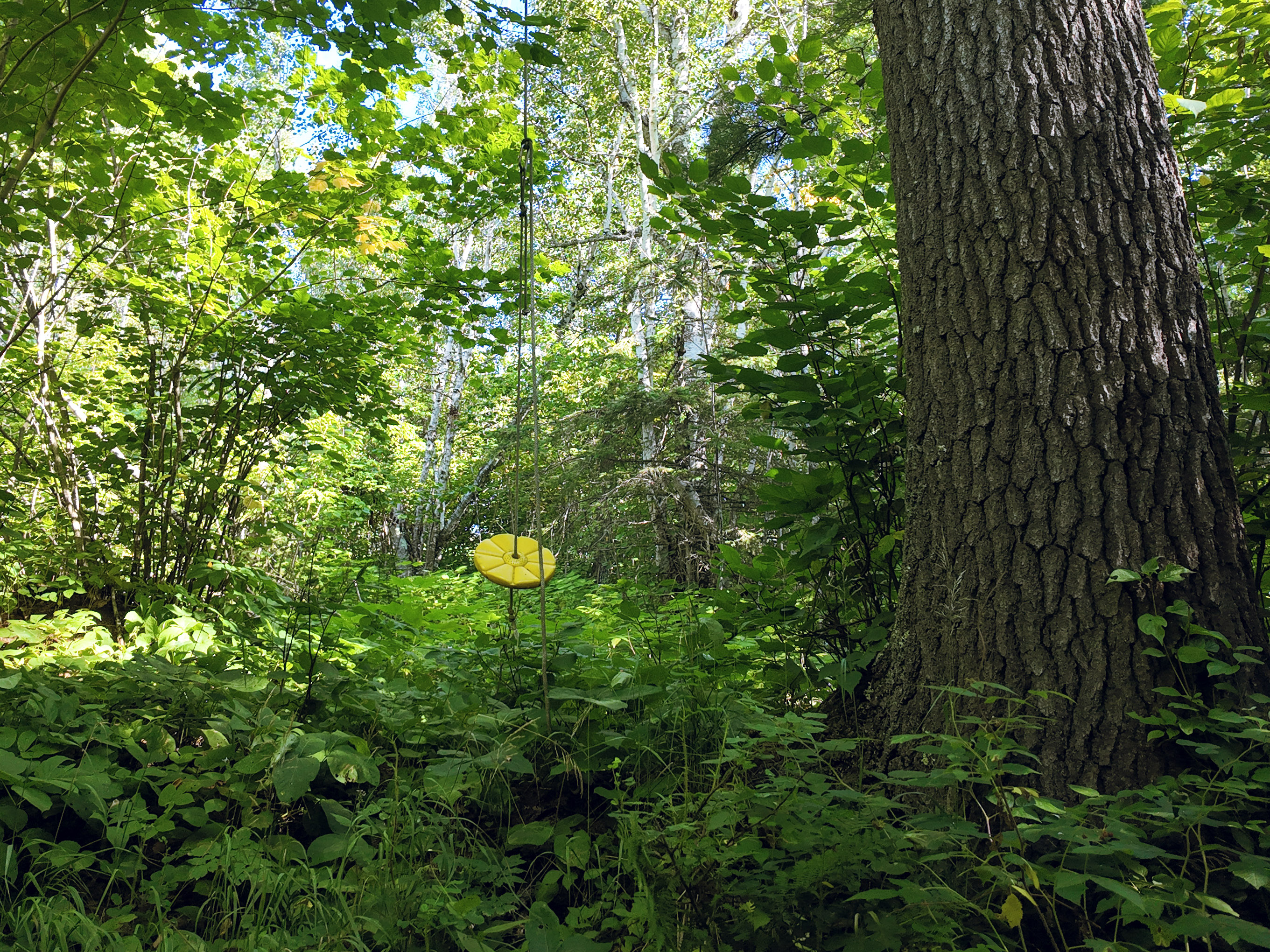  A Rare North Shore Homesite Near Grand Marais - 物件實景