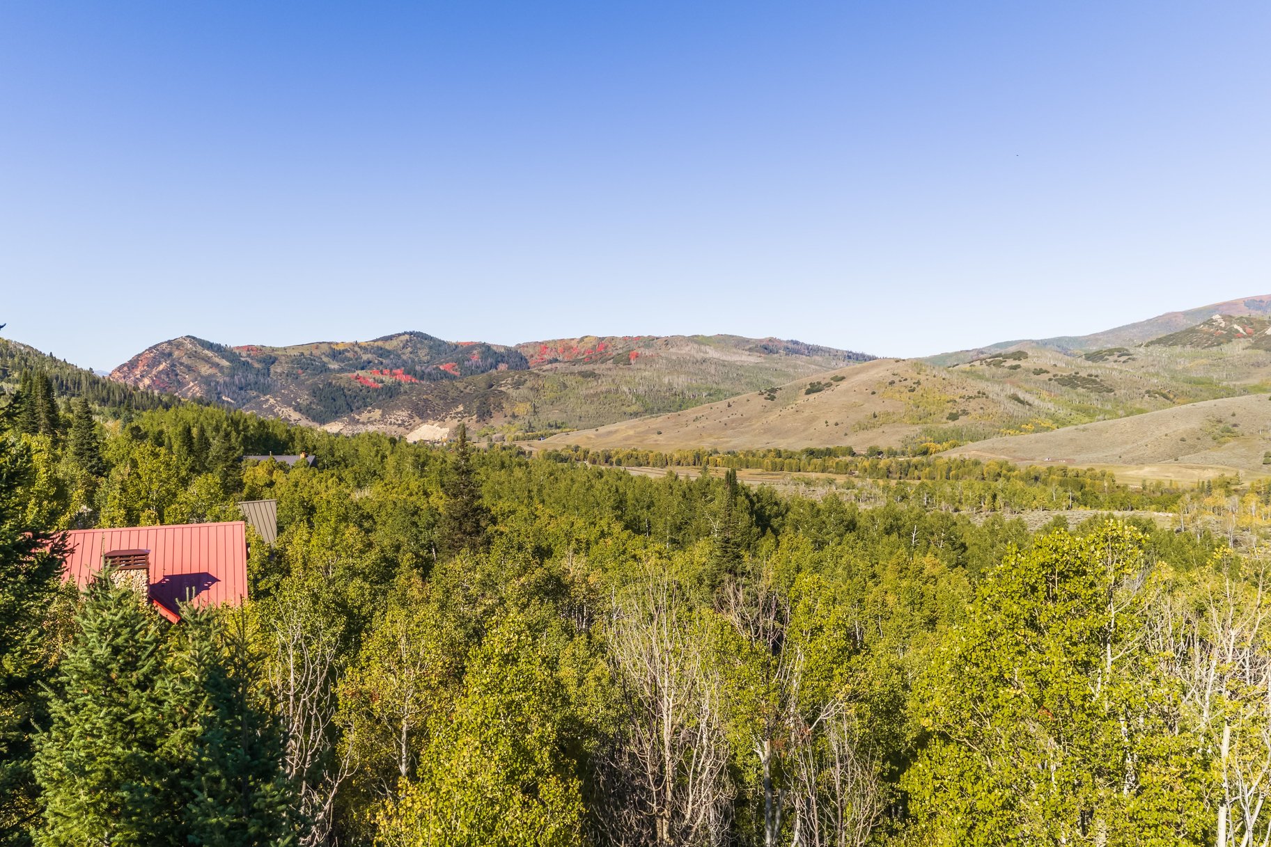  1.32-Acre Wooded Retreat in Gated Pine Mountain Near Oakley - 物件實景
